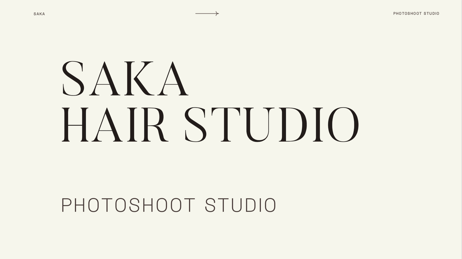 Project 2: For the launch of their website, Saka Hair Studio needed beautiful visuals. I organized the photoshoot and I created various mood boards in order to maximize the studio rental and have a lot of content.