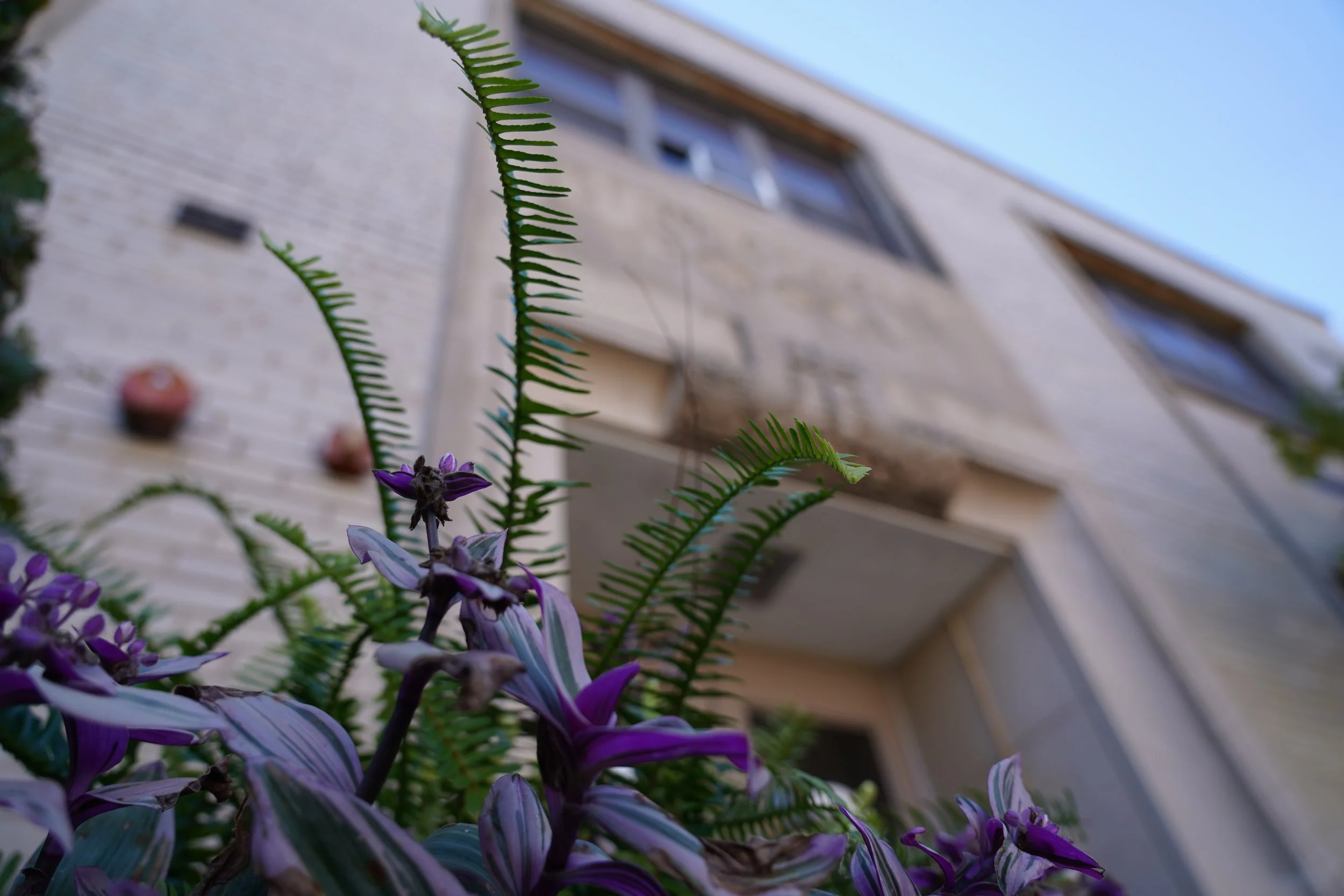 DSC08703.jpeg