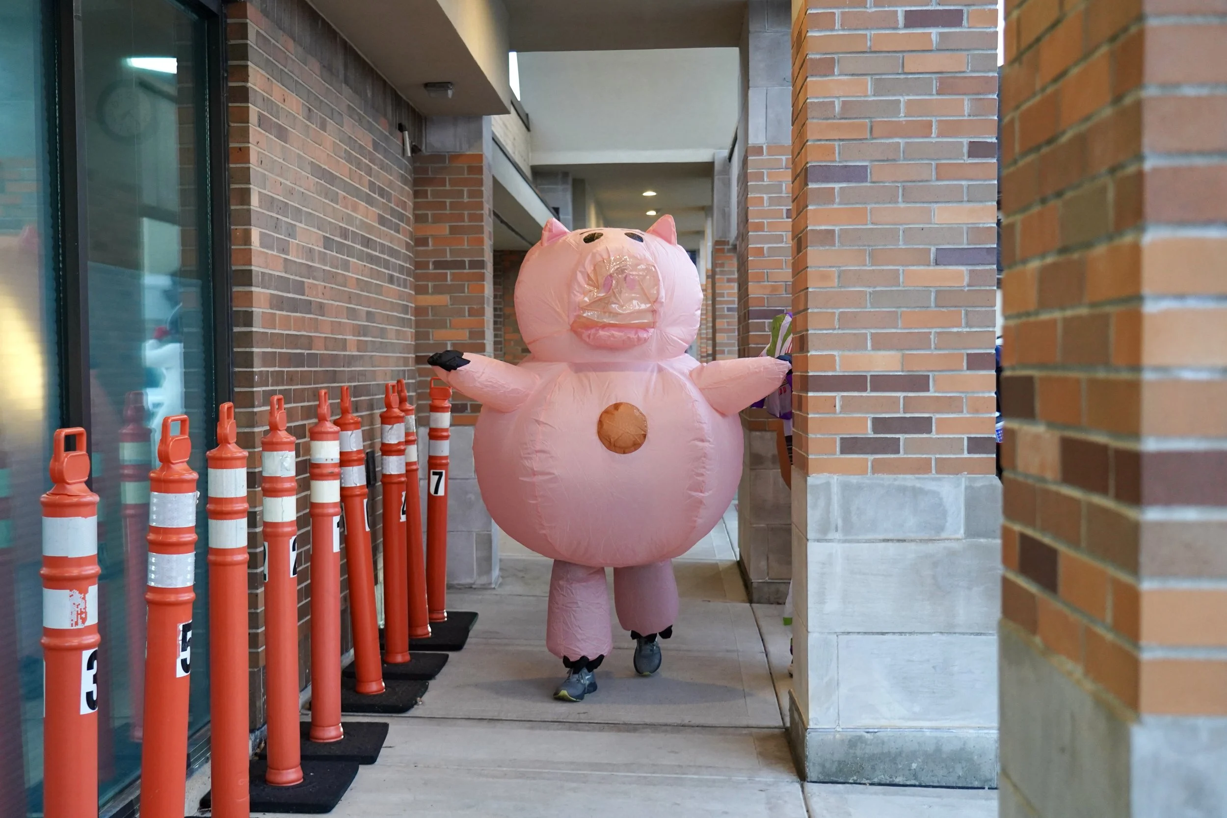 DSC09613.jpeg