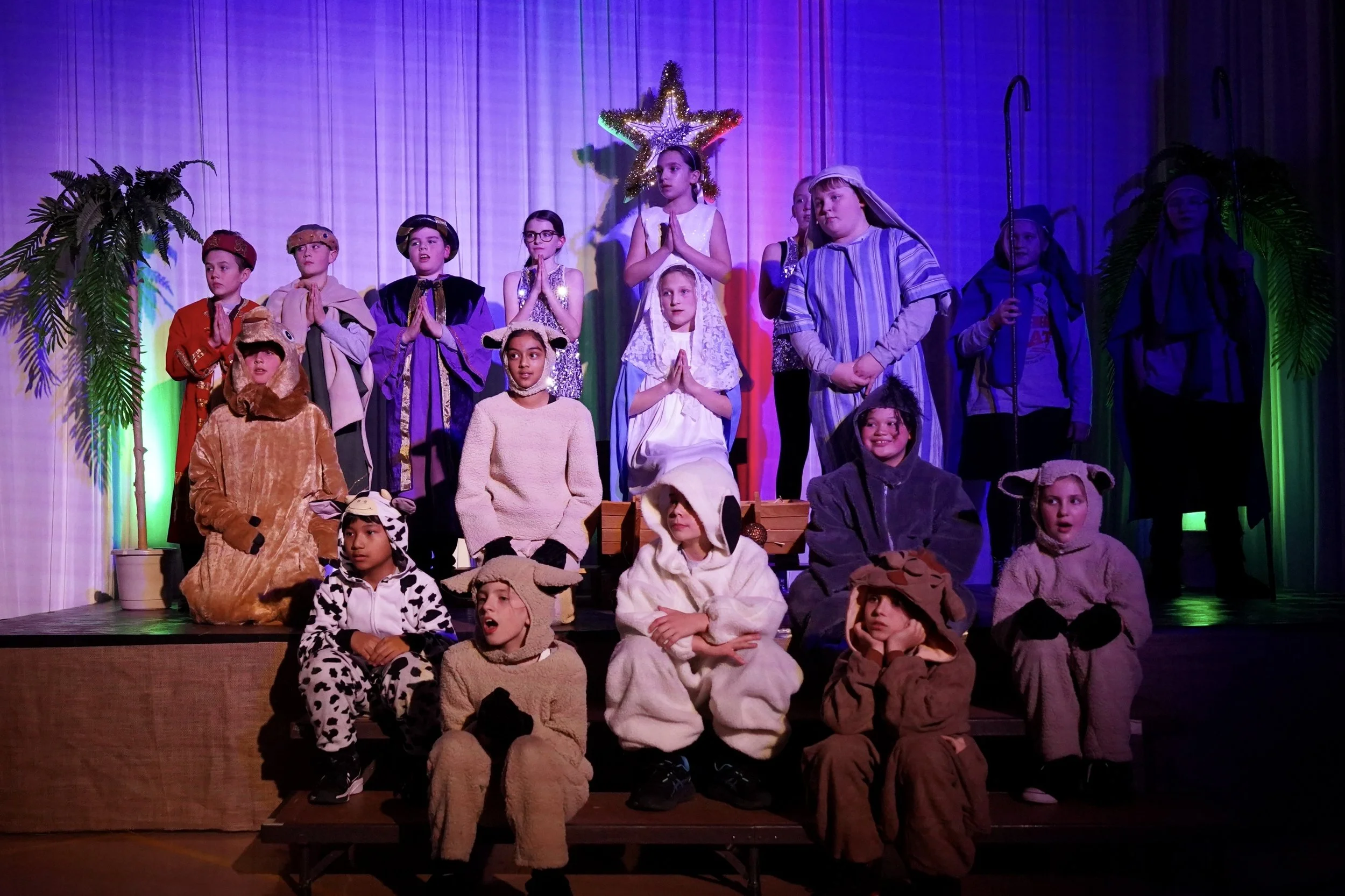 Christmas Play &amp; Concert (2)