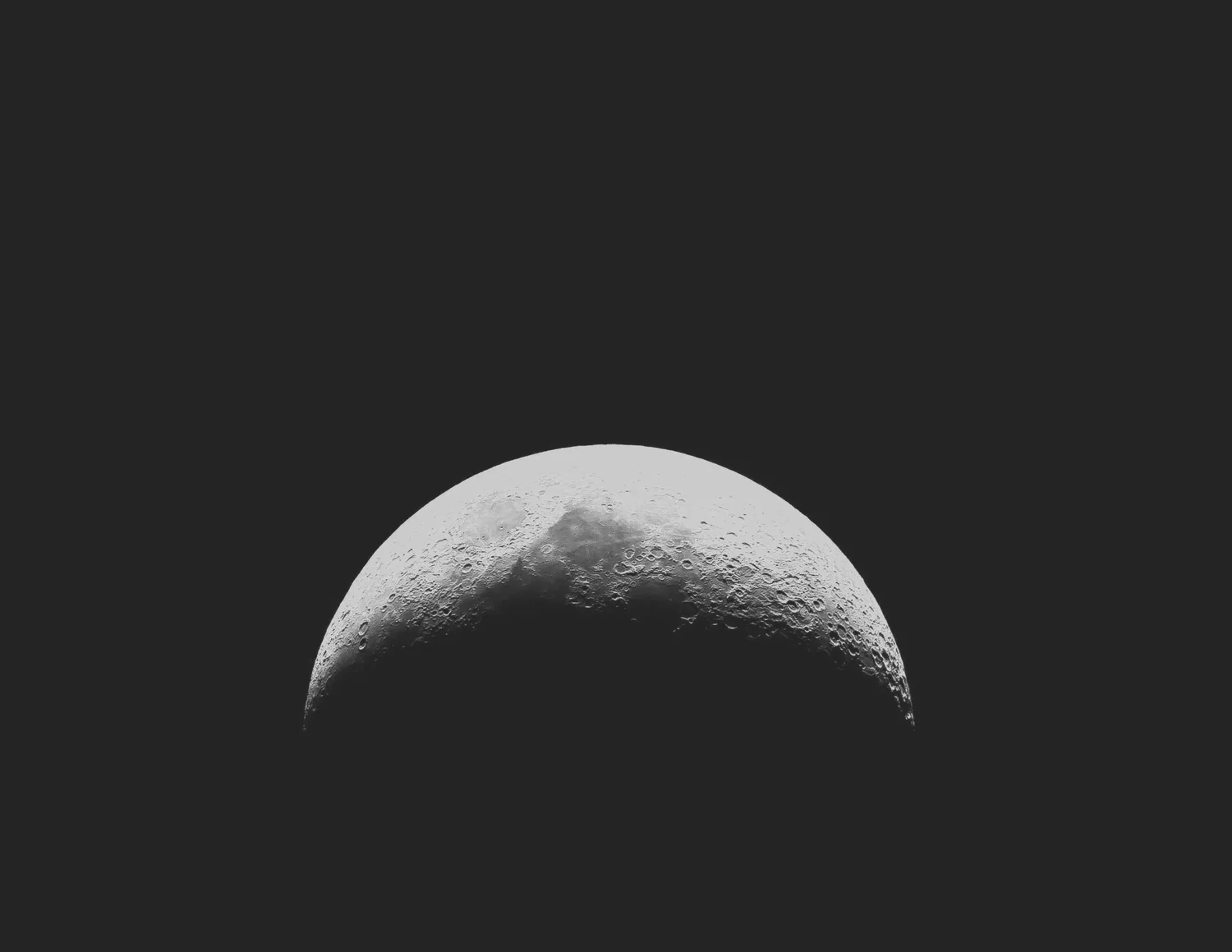 ARMADILLO MOON