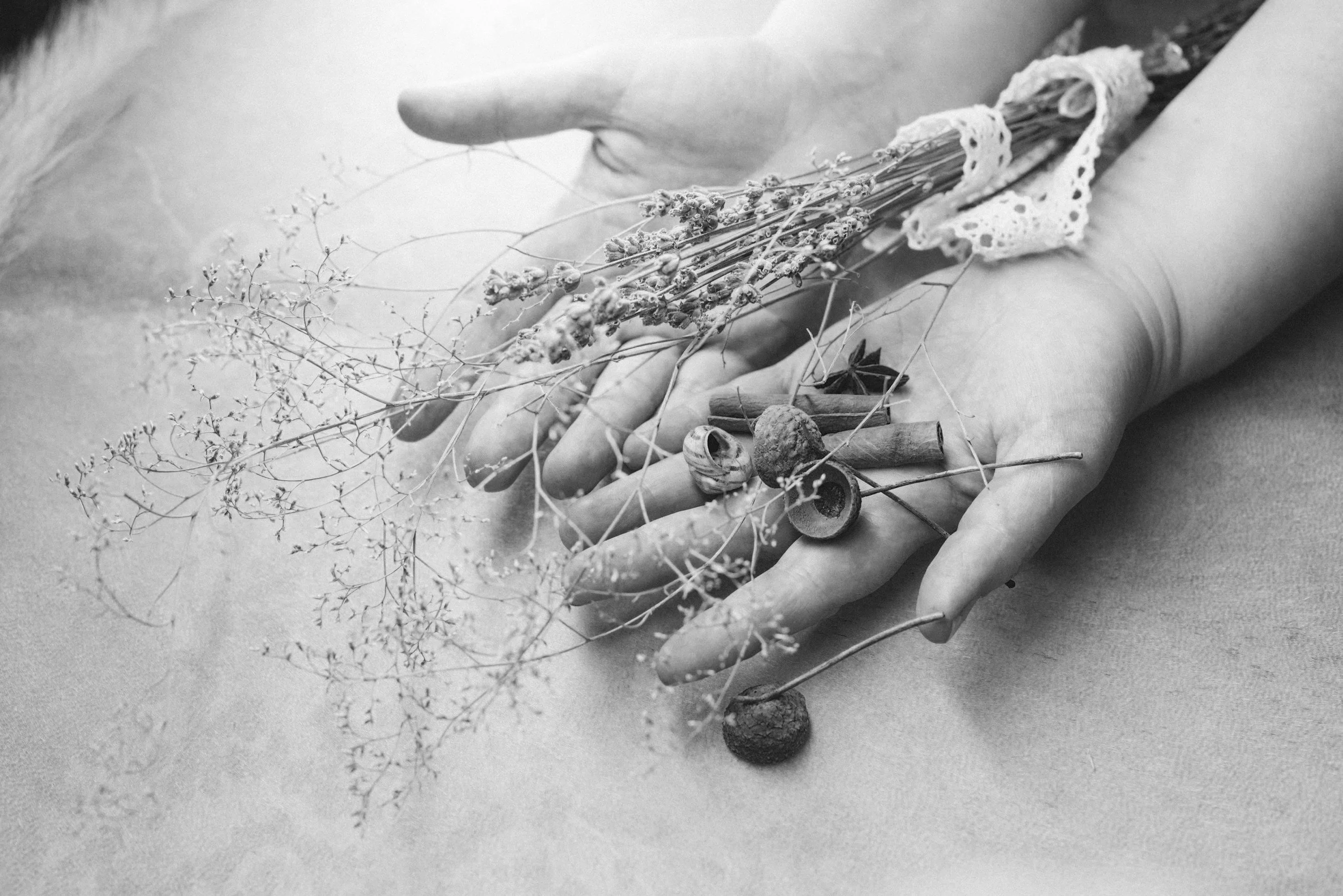 Healing Arts Seasonal Retreat: A Day for Touching in on the Art of Impermanence (9/11, 7am-7pm)