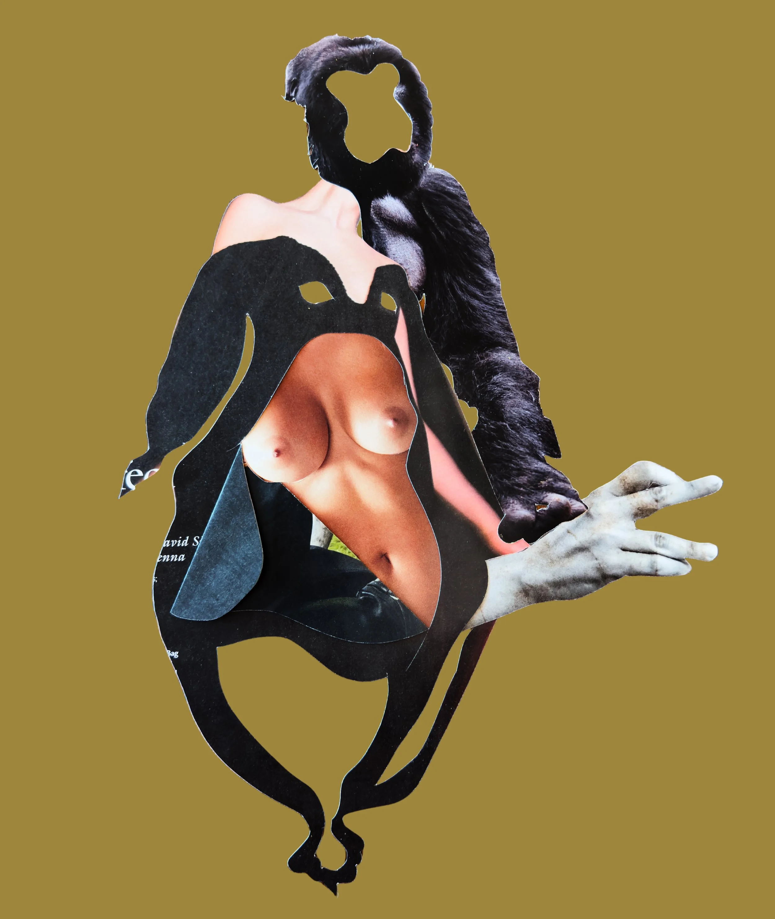 Untitled design-21.jpg