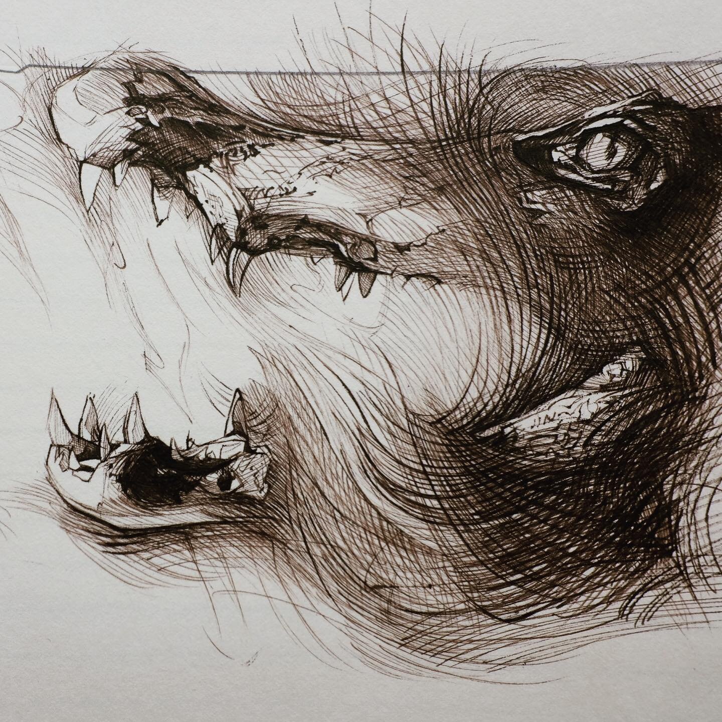 An Ancient.
.
.
.
.
.
.
#inkdrawing #inkillustration #penandink #linedrawing #crocodile #crocodileart #reptilesofinstagram #reptilelover