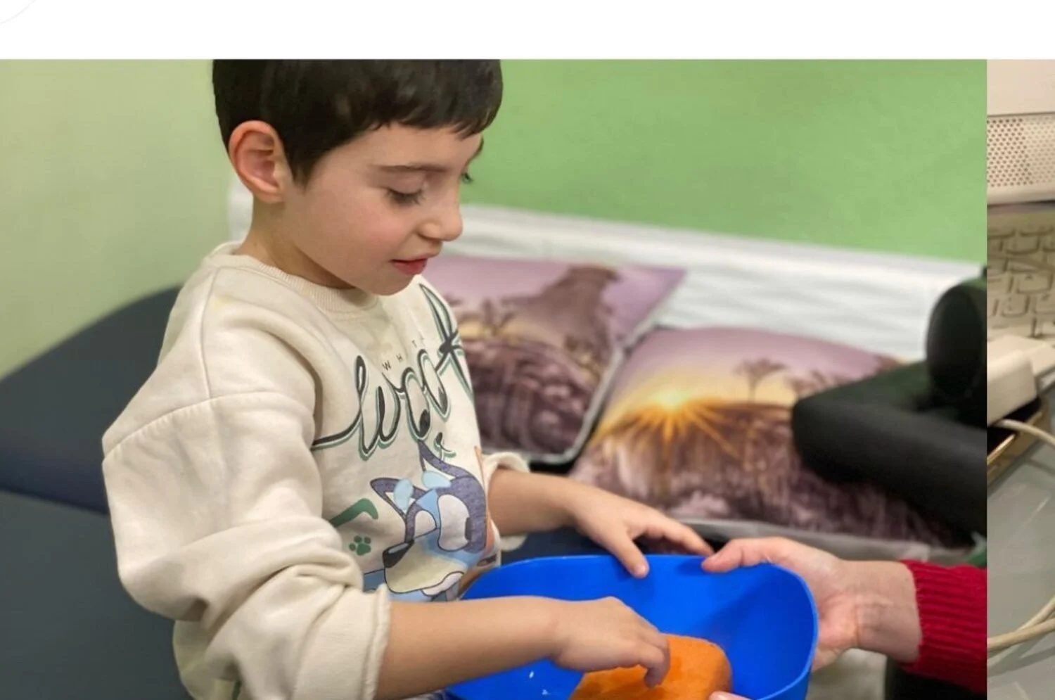 Terapia Sensoriale: Dera Drejt Shqisave