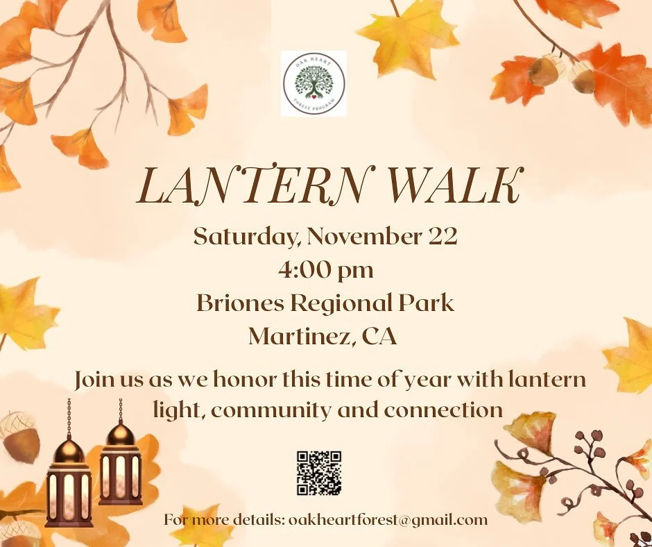 As the days grow shorter and the light begins to fade earlier each evening, we gather to honor the turning of the season with our annual Lantern Walk. This is a magical event that we look forward to each year which celebrates the light, community and