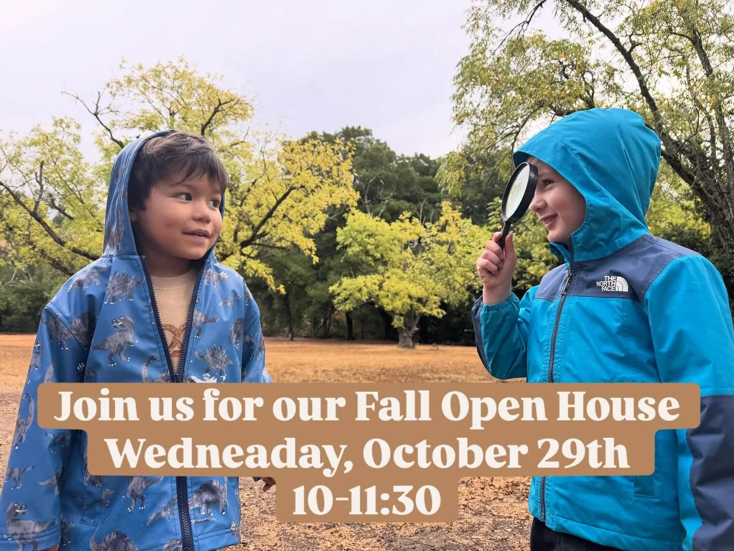 Looking for an outdoor program for your family that&rsquo;s rooted in hands-on, nature-based learning?
Join Oak Heart Forest Program for our Fall Open House and discover how we nurture children&rsquo;s natural curiosity through rich, sensory experien