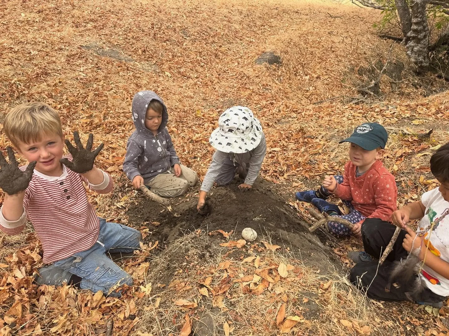At Oak Heart Forest Program, our program&rsquo;s are designed to ignite a sense of wonder, adventure, and a deep appreciation and love for the natural world. By following an inquiry based and &ldquo;hands on&rdquo; educational approach that honors bo