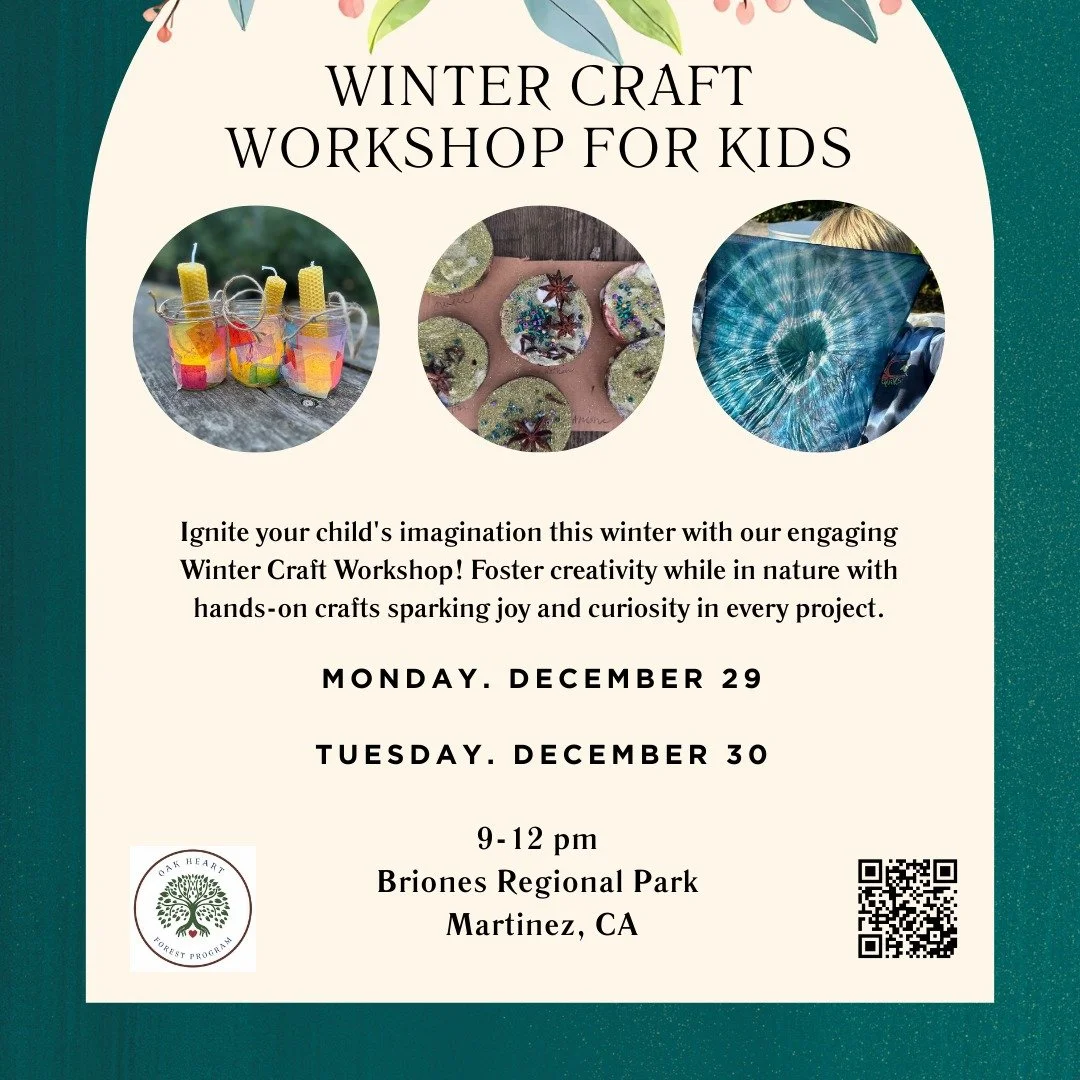We have a new offering coming your way! What better way to spend the Winter, then crafting something handmade. Unlock your child&rsquo;s creativity and sense of wonder in our Winter Craft Workshop, where nature and hands-on crafting go hand in hand. 