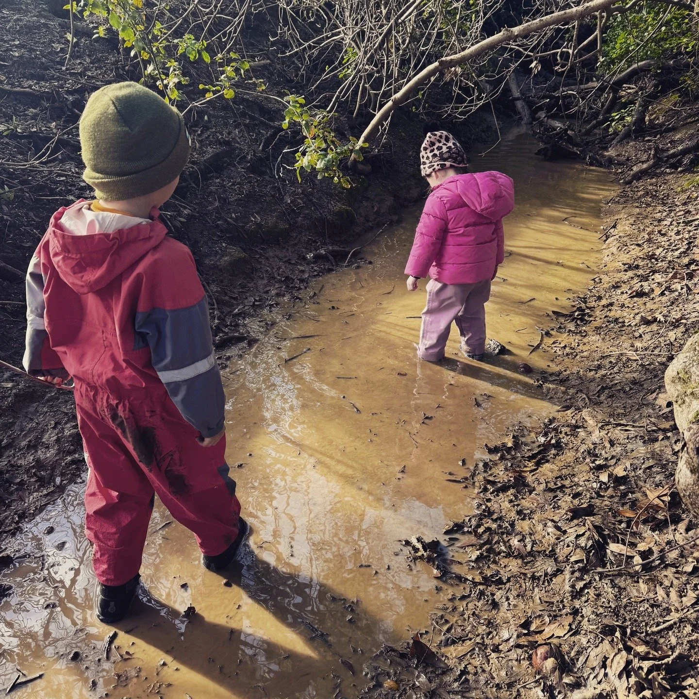 Why outdoor learning in Winter builds resilience? 

For many of us, winter is a time for rest&mdash;much like the hibernation animals move through during this season. It feels natural for our bodies to slow down, spend more time indoors, and even res