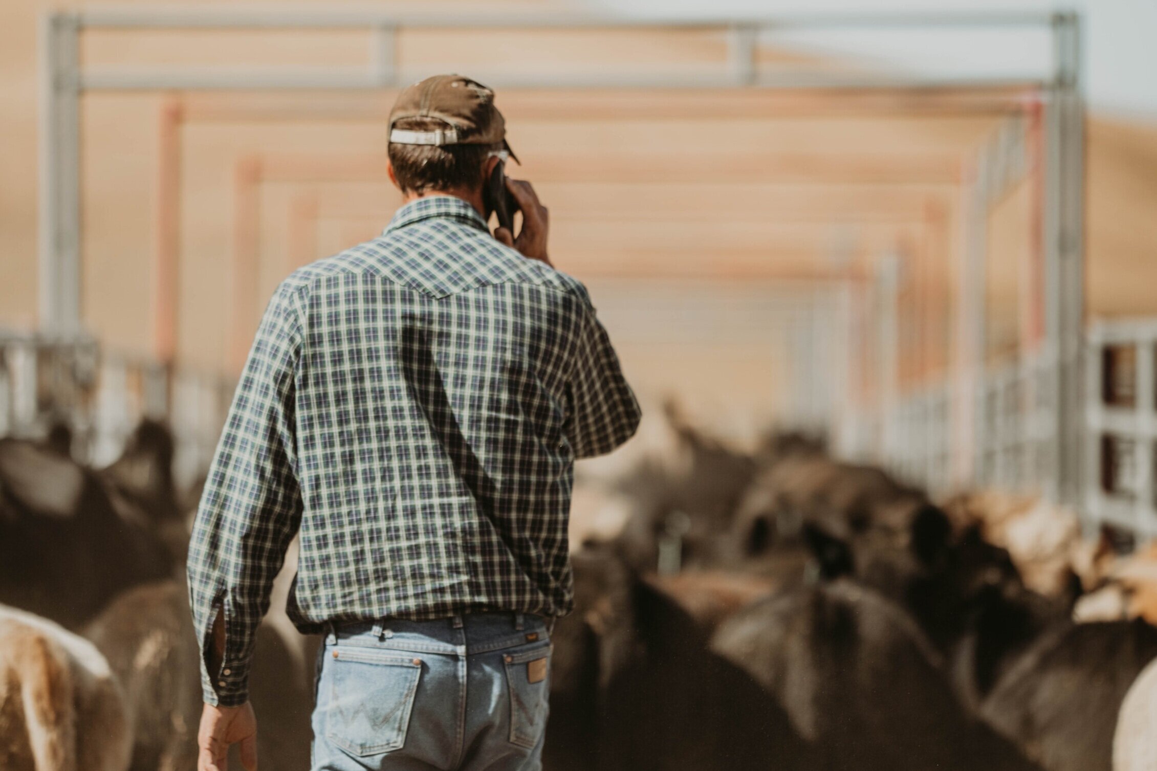 Dixon Land and Livestock