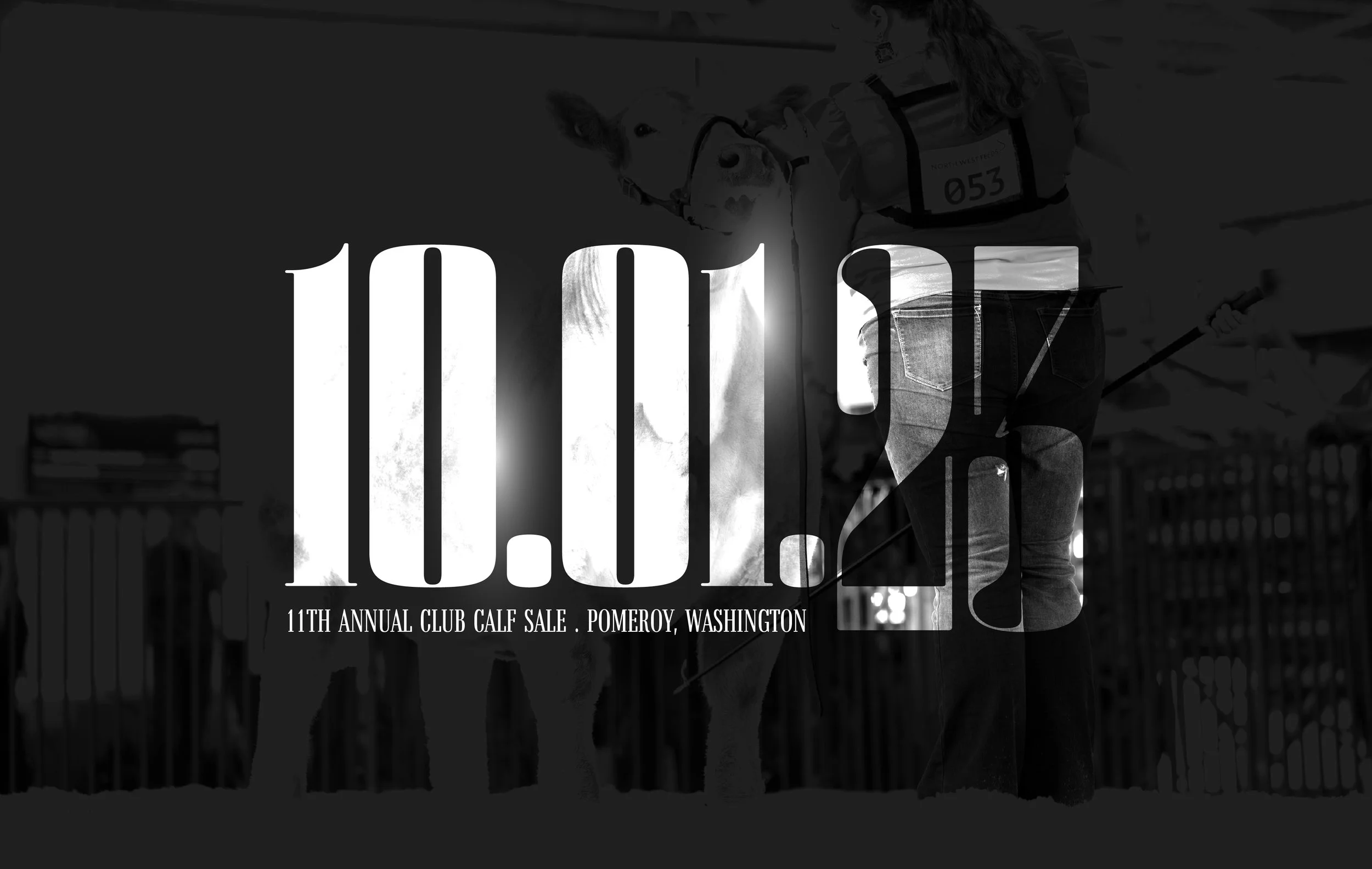 Dixon Land and Livestock