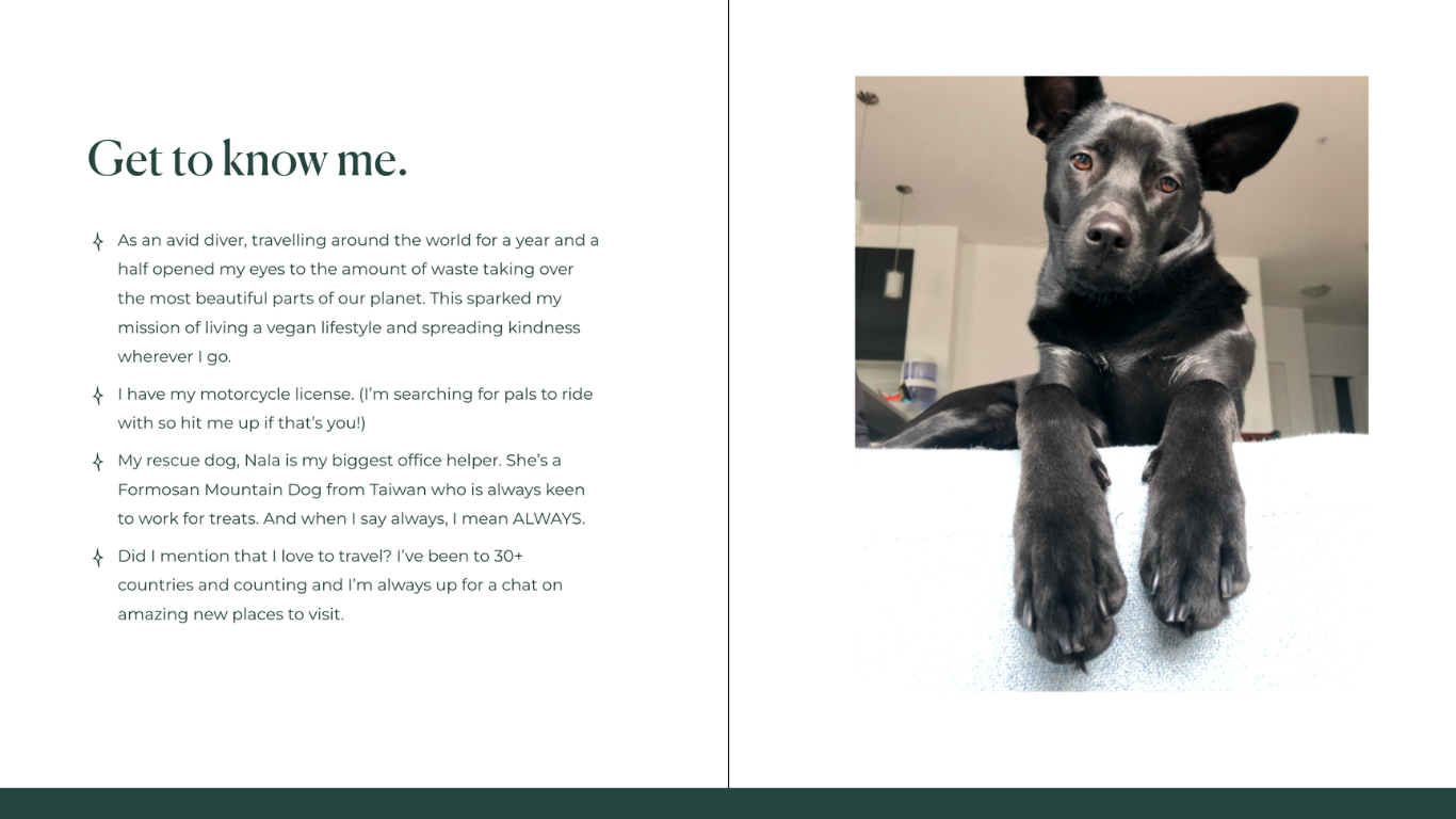 Untitled design (9).png