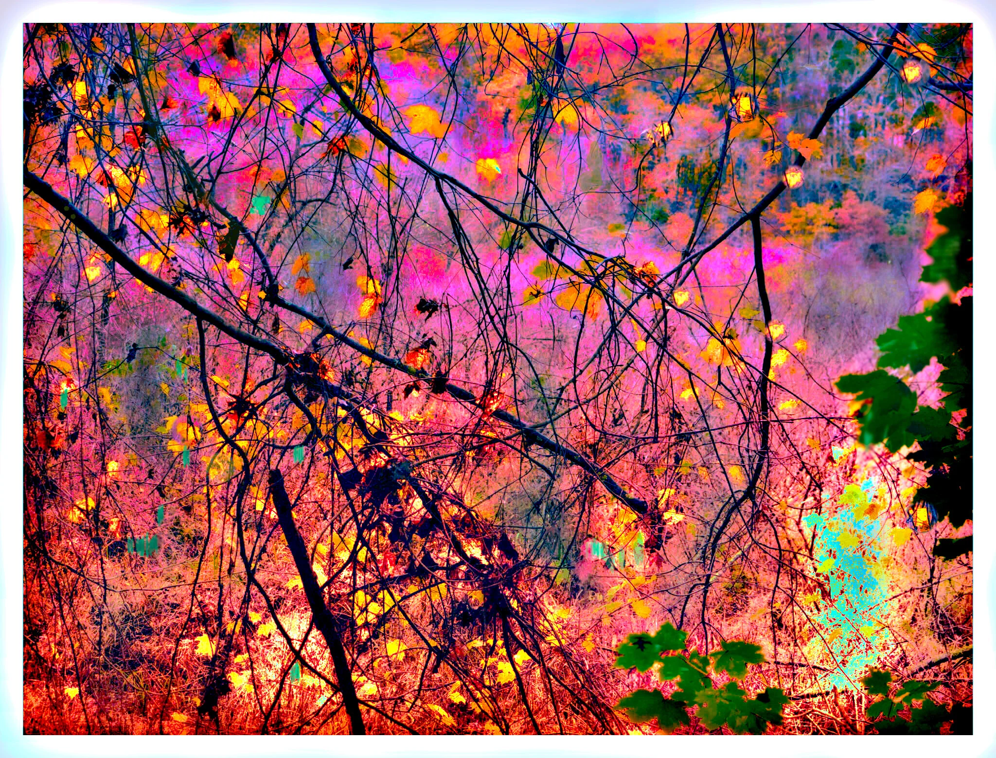 Autumn.Blaze_VanDermeer.jpg