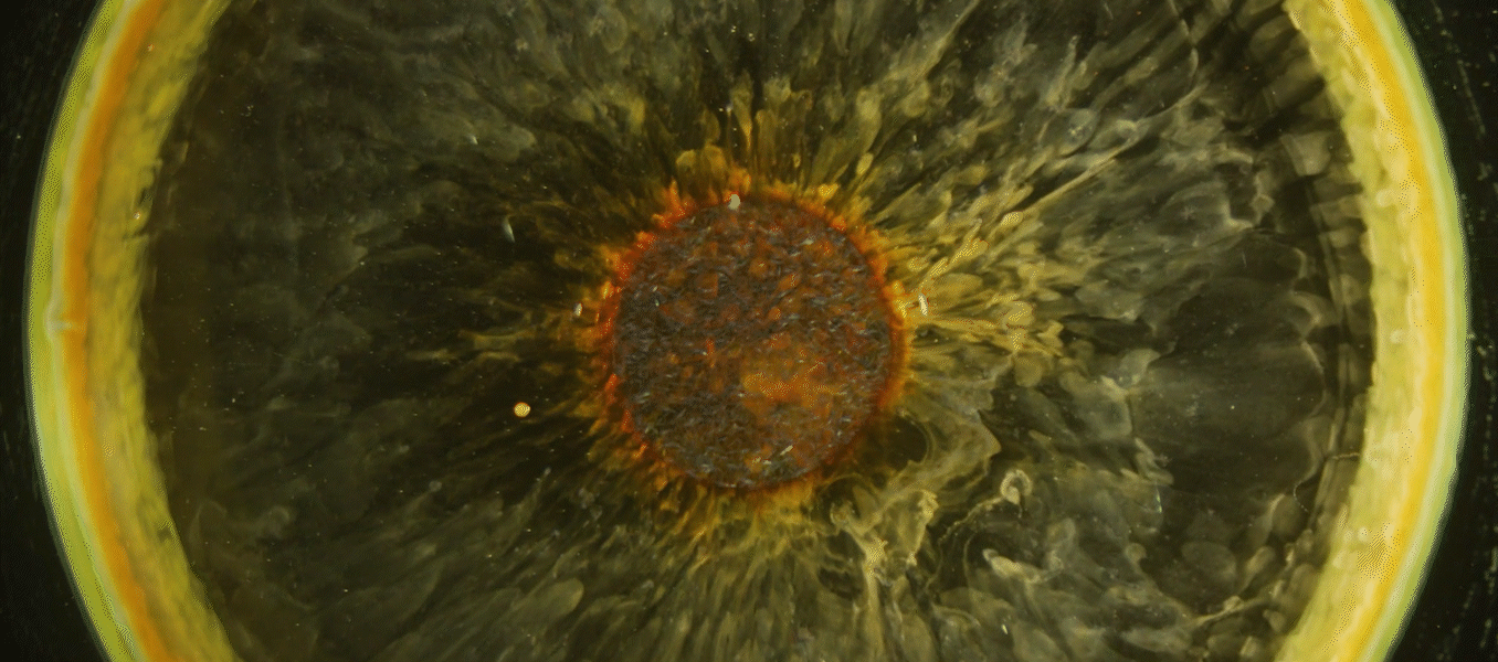 Cellular Universe III (1).gif