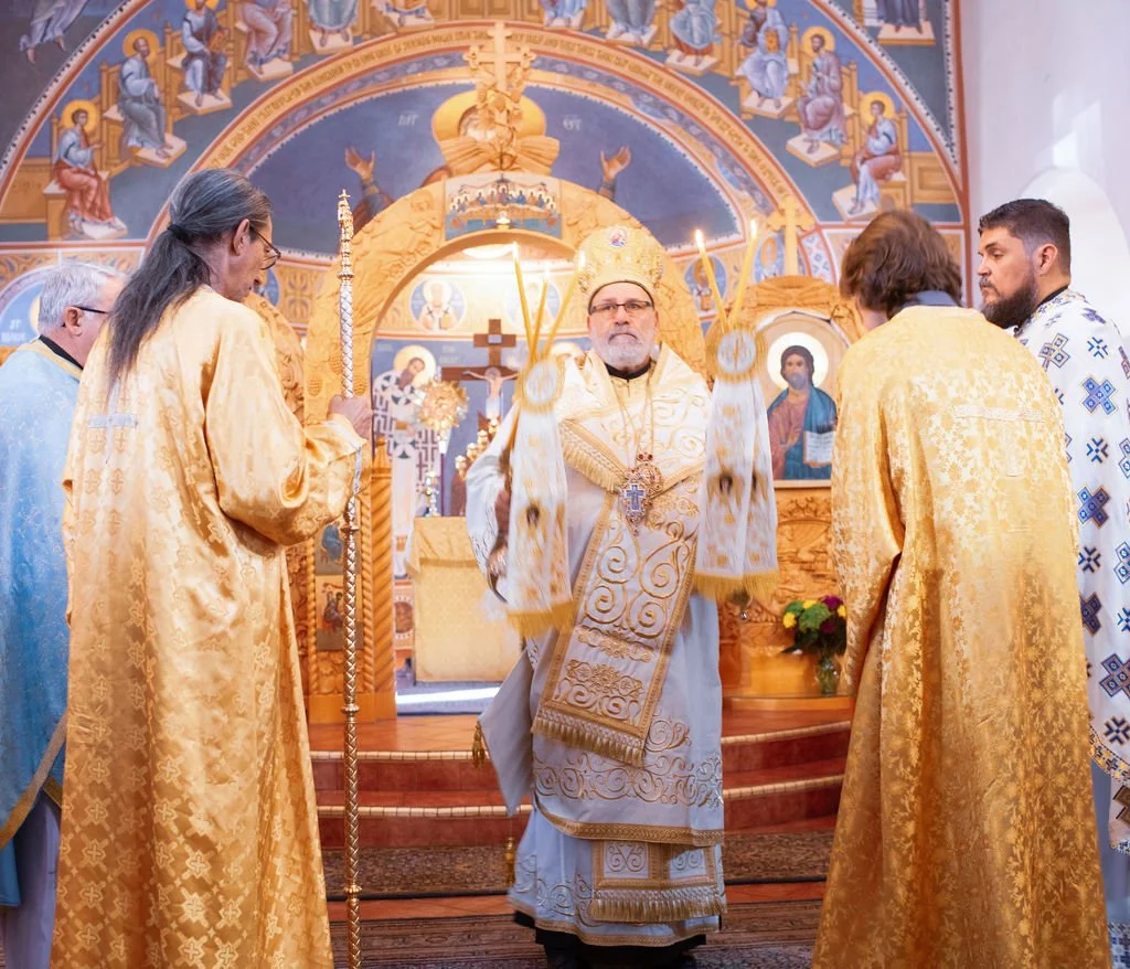 3P2A9141.jpg