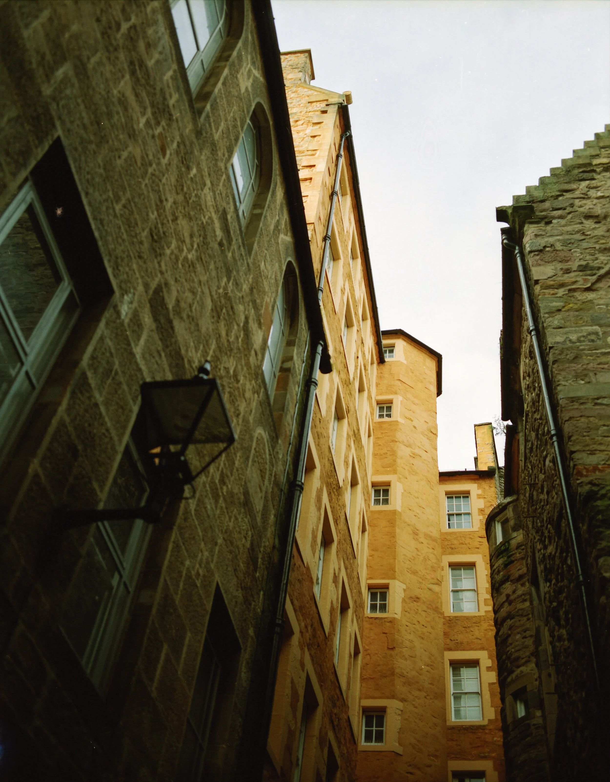 Lomography 800 P6x7_20201108_0004.jpg