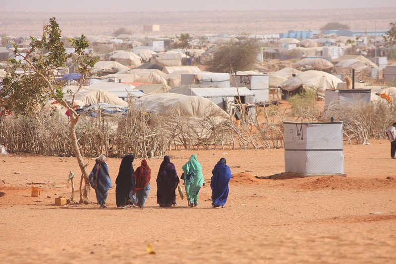 Opinion: Mauritania and Conditional Support of Mali