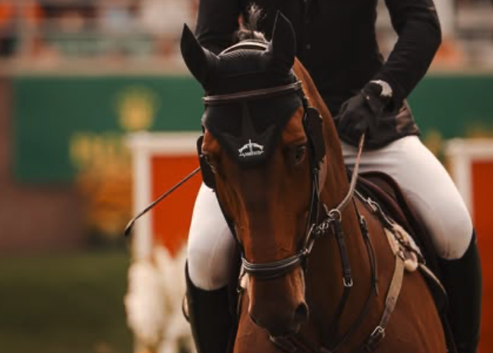 Screenshot 2026-04-02 at 4.29.23 PM.png