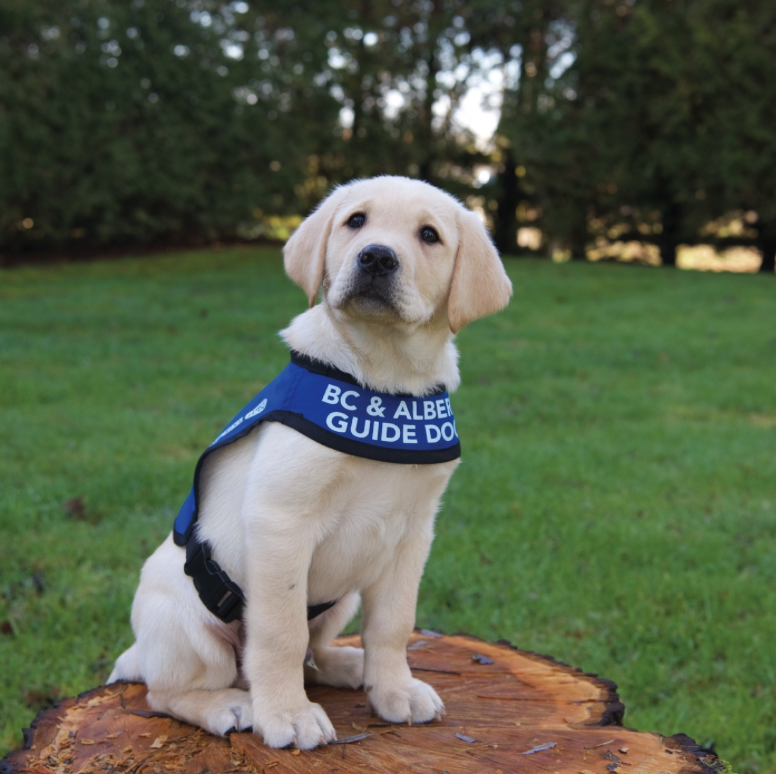 Screenshot 2026-04-03 at 2.01.29 PM.png