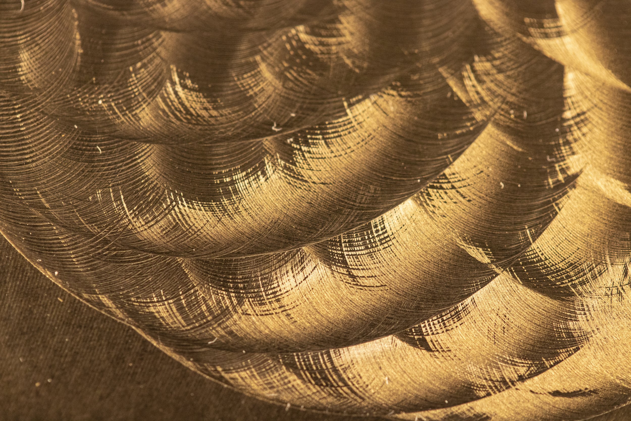Close Up of Brass Guilloche Facing.JPG