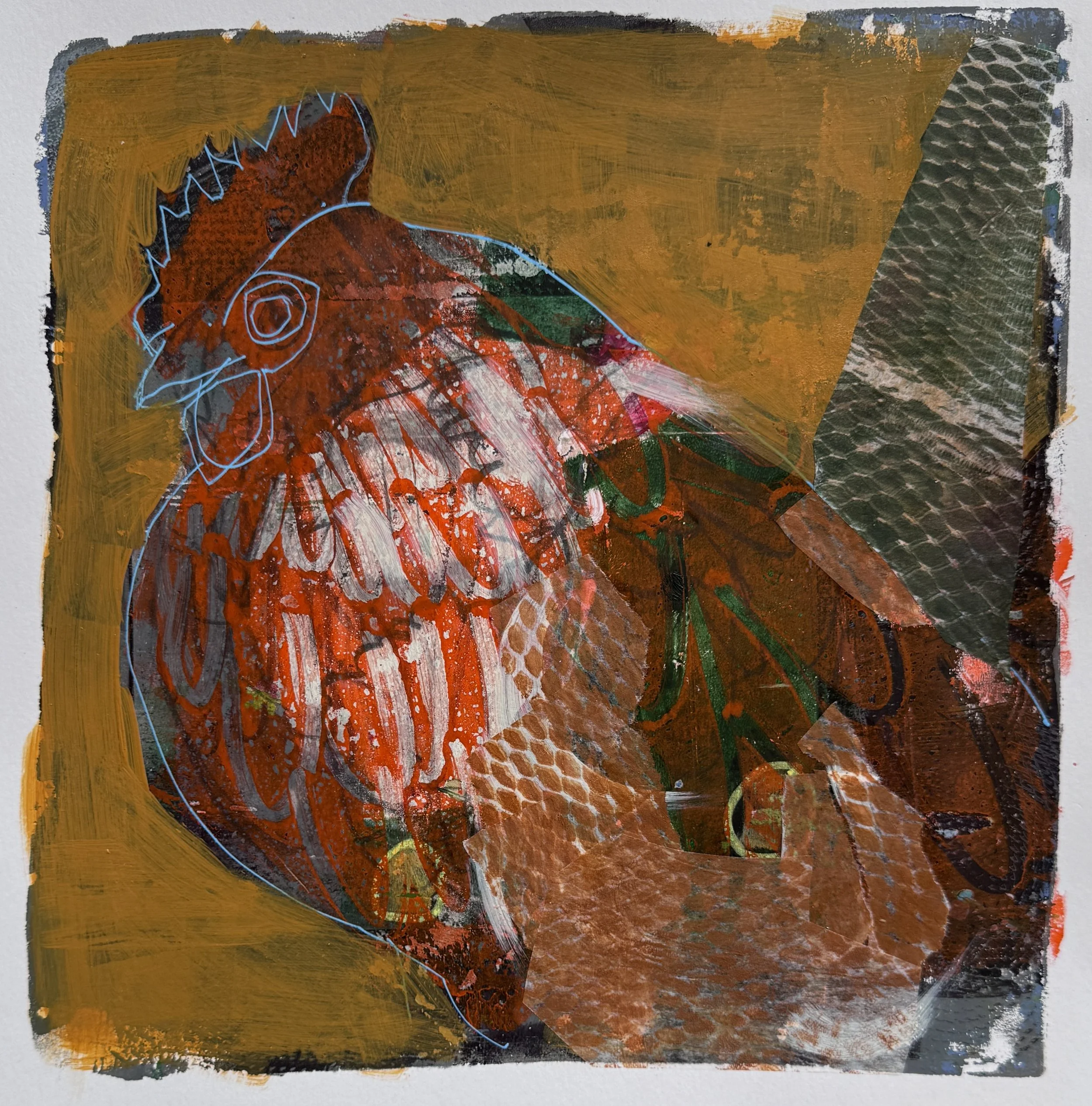 King of the Coop.jpg