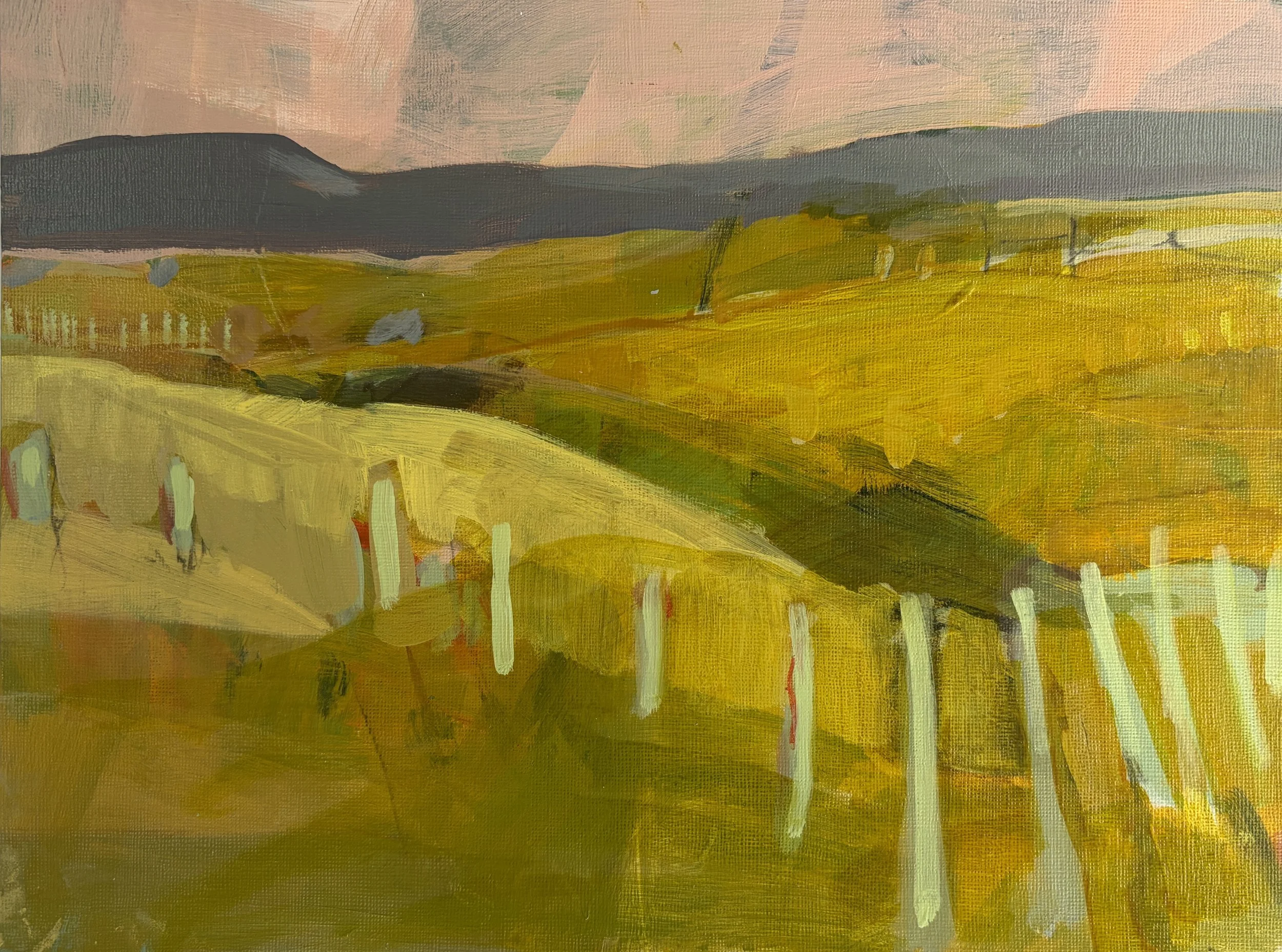 golden hills and pink skies.jpg