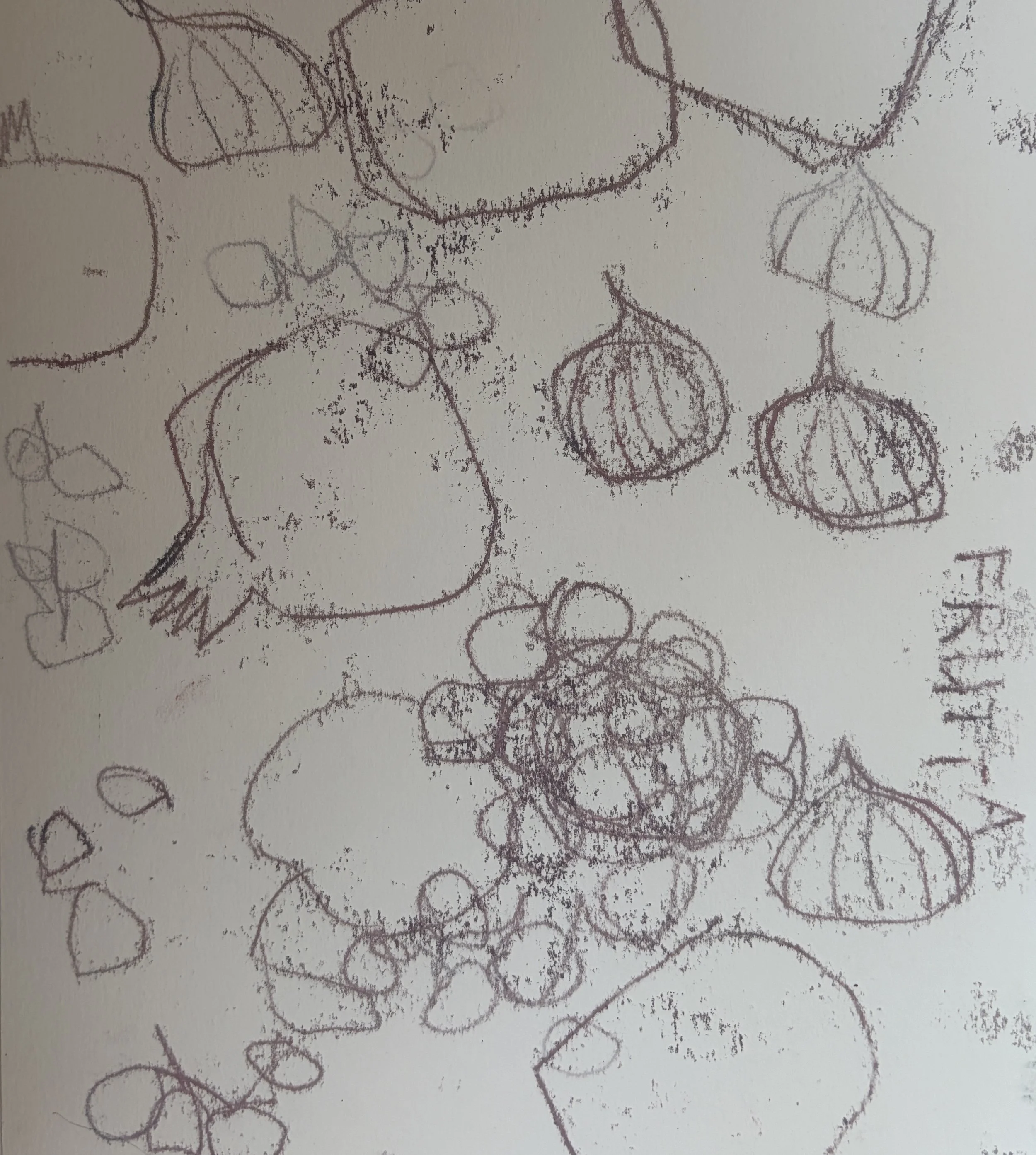 Frutta II.jpeg
