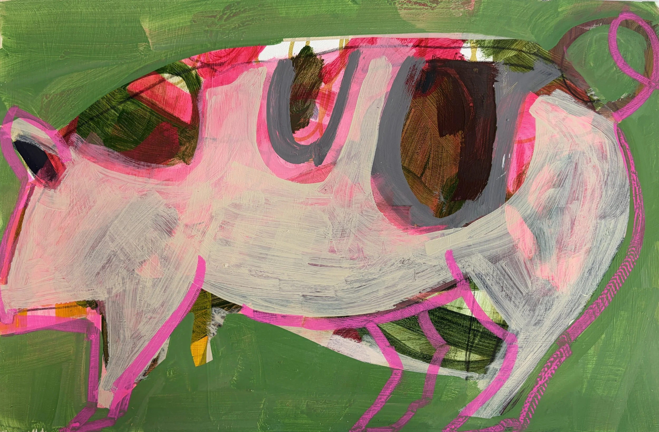 Spotted Piggy.jpg