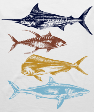 Multicolor Fish Design.png