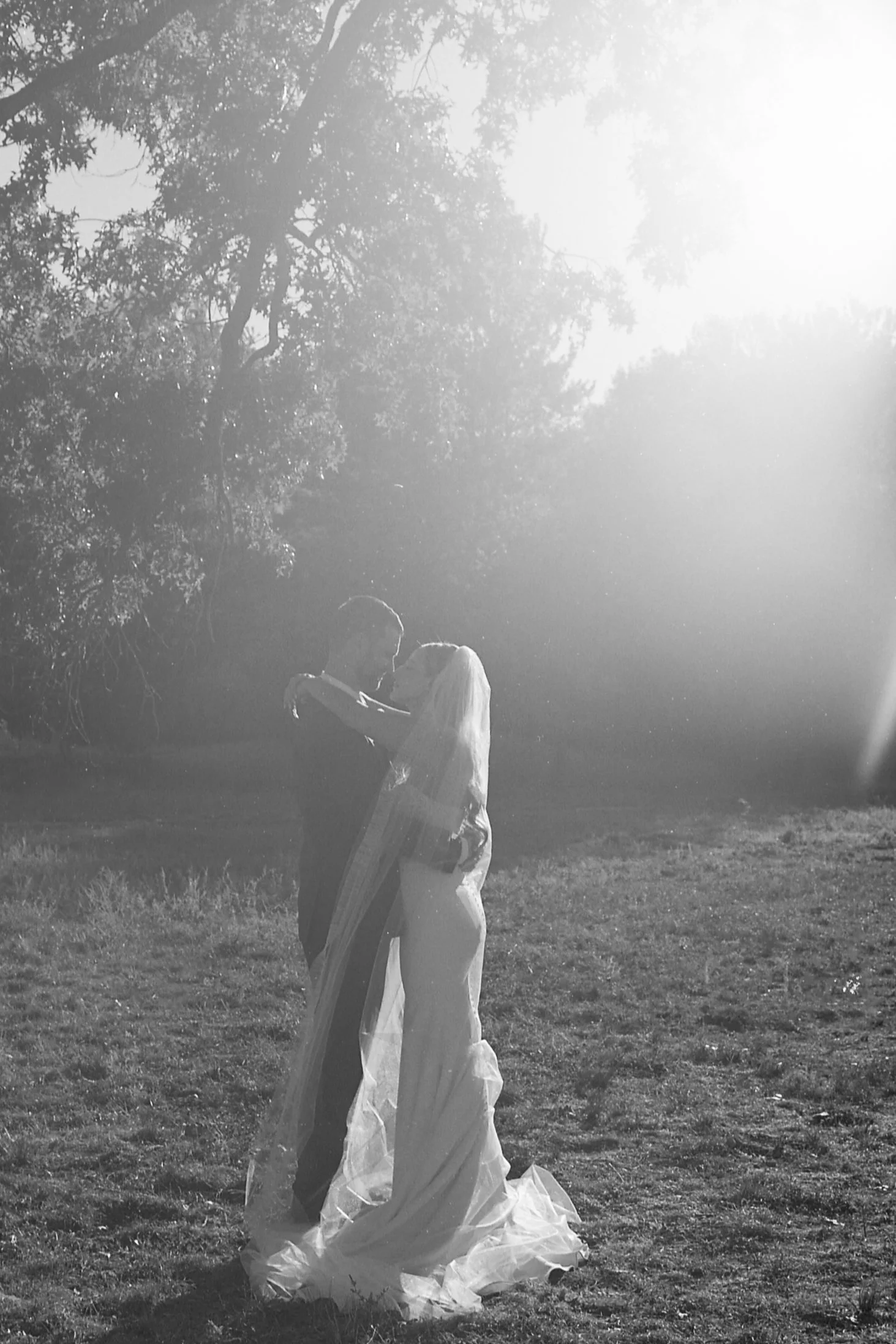 A black and white photograph of a couple in wedding attire, embracing outdoors with trees and sunlight in the background.