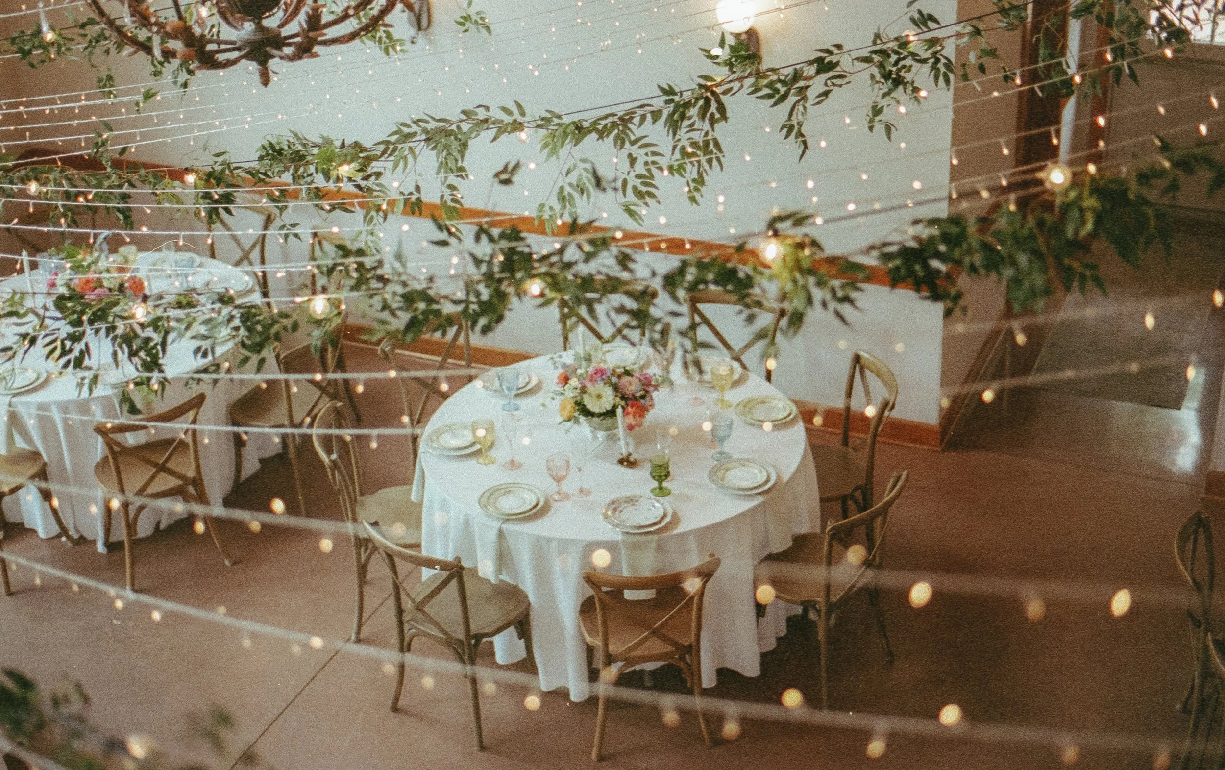 Elegant banquet table set for a celebration, decorated with a floral centerpiece, surrounded by chairs, and viewed through string lights and greenery overhead.