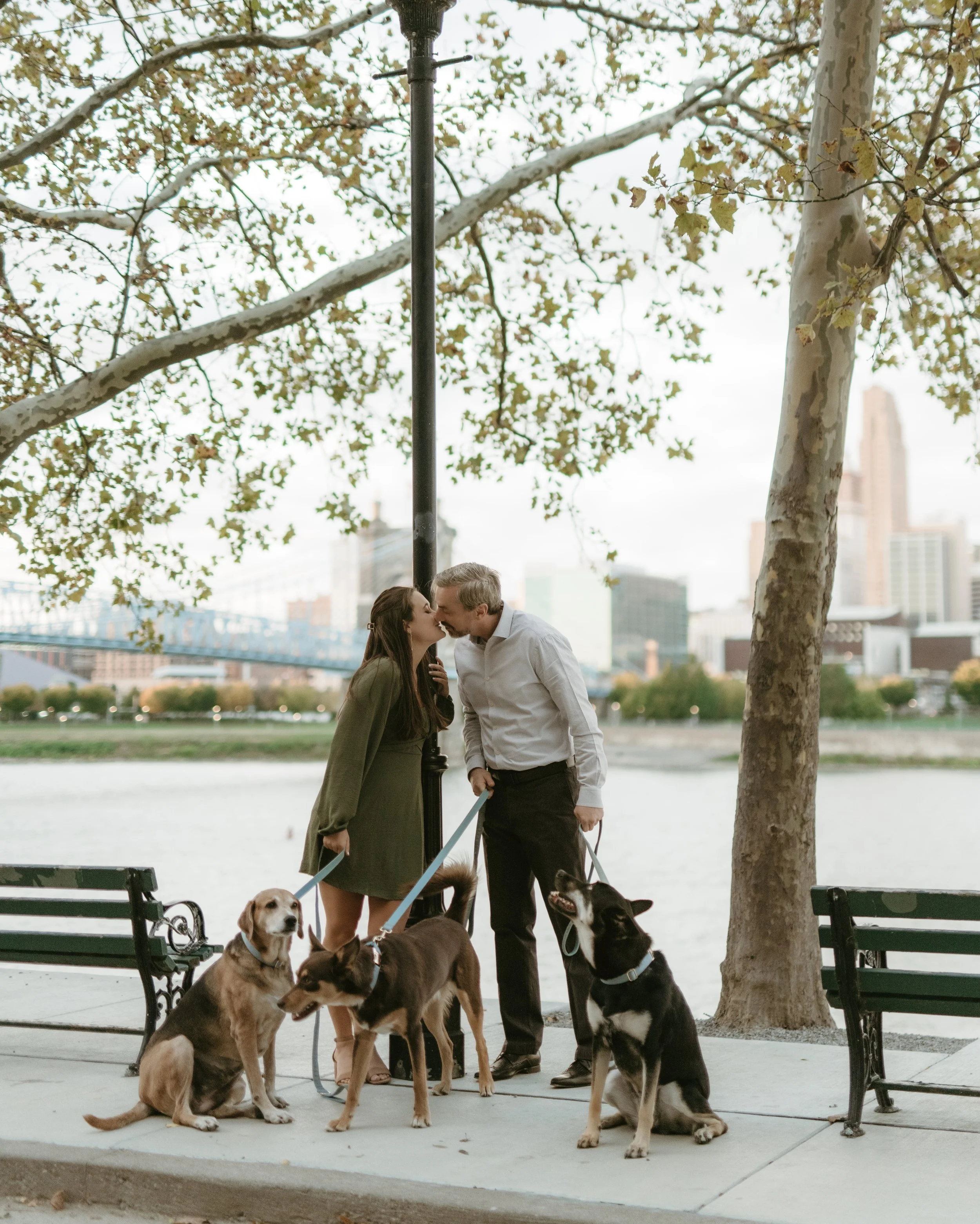 A couple sharing a kiss on a waterfront promenade with three dogs, trees, benches, and city skyline in the background.