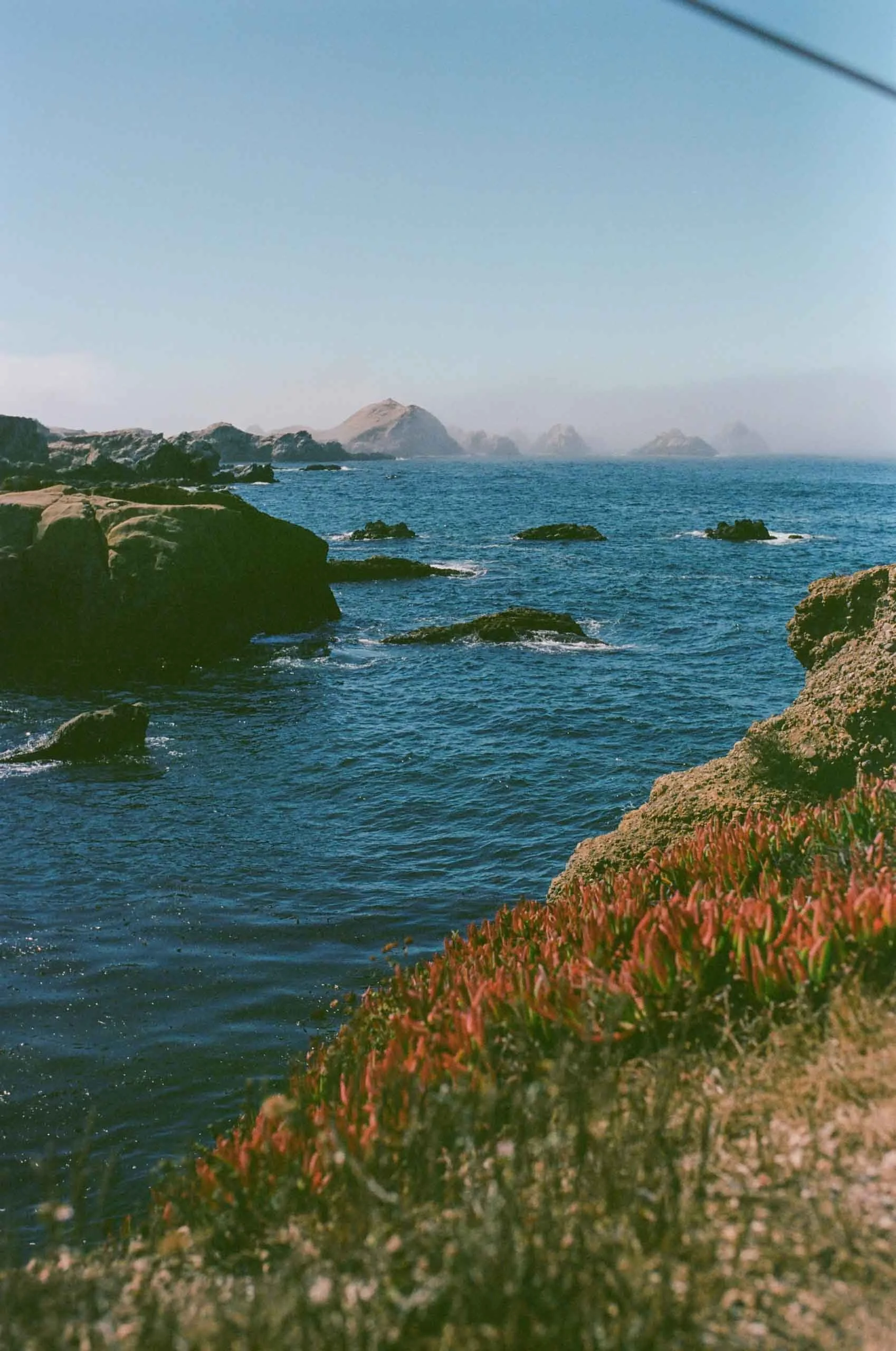 Ocean view with rocky coastline, distant islands, and some red and green plants in the foreground.
