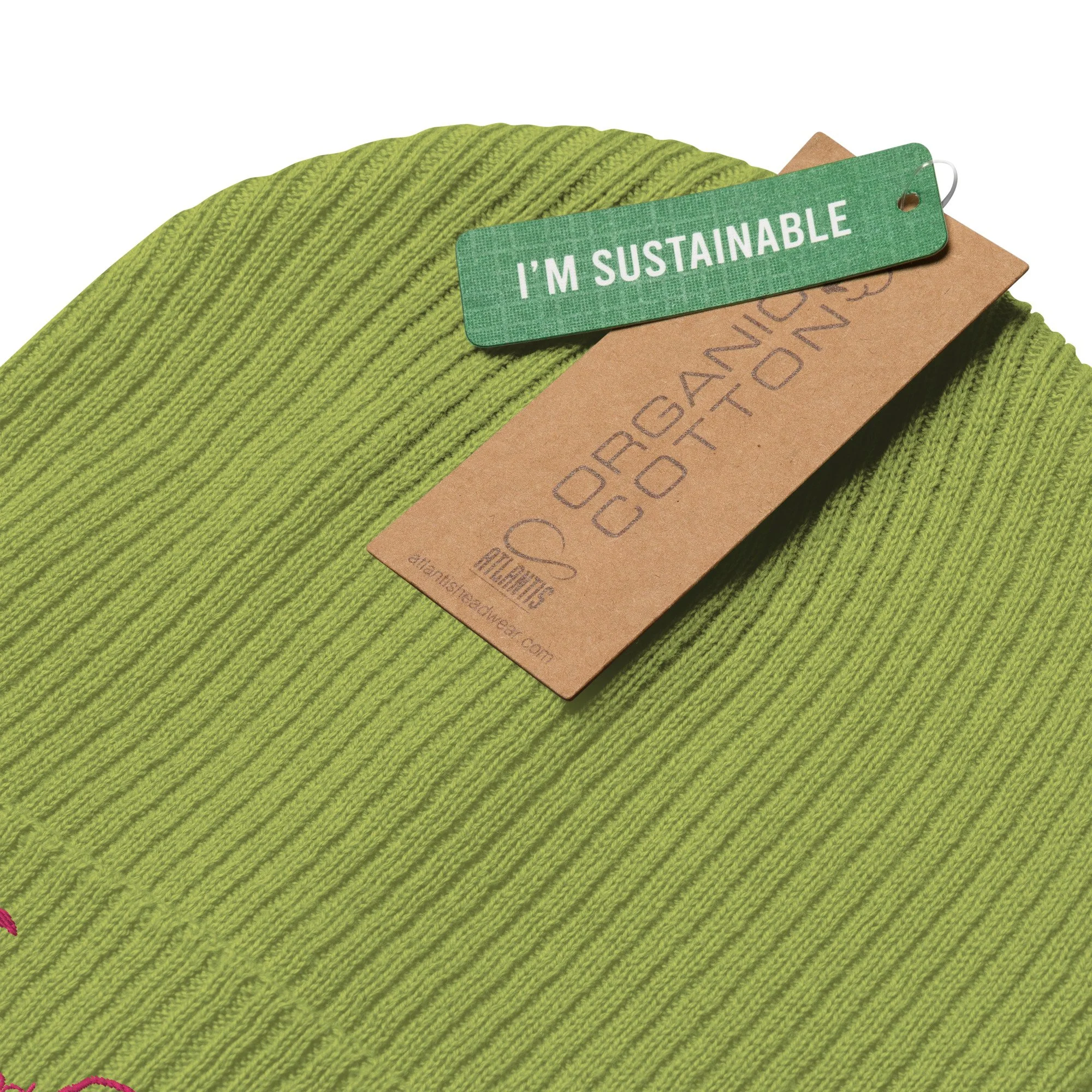 organic-ribbed-beanie-leaf-green-product-details-6563aafc28079.jpg