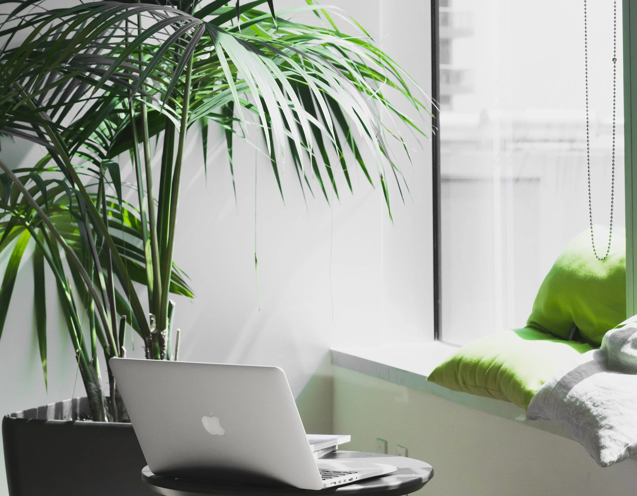7 Ways to Improve Air Quality in Your Office