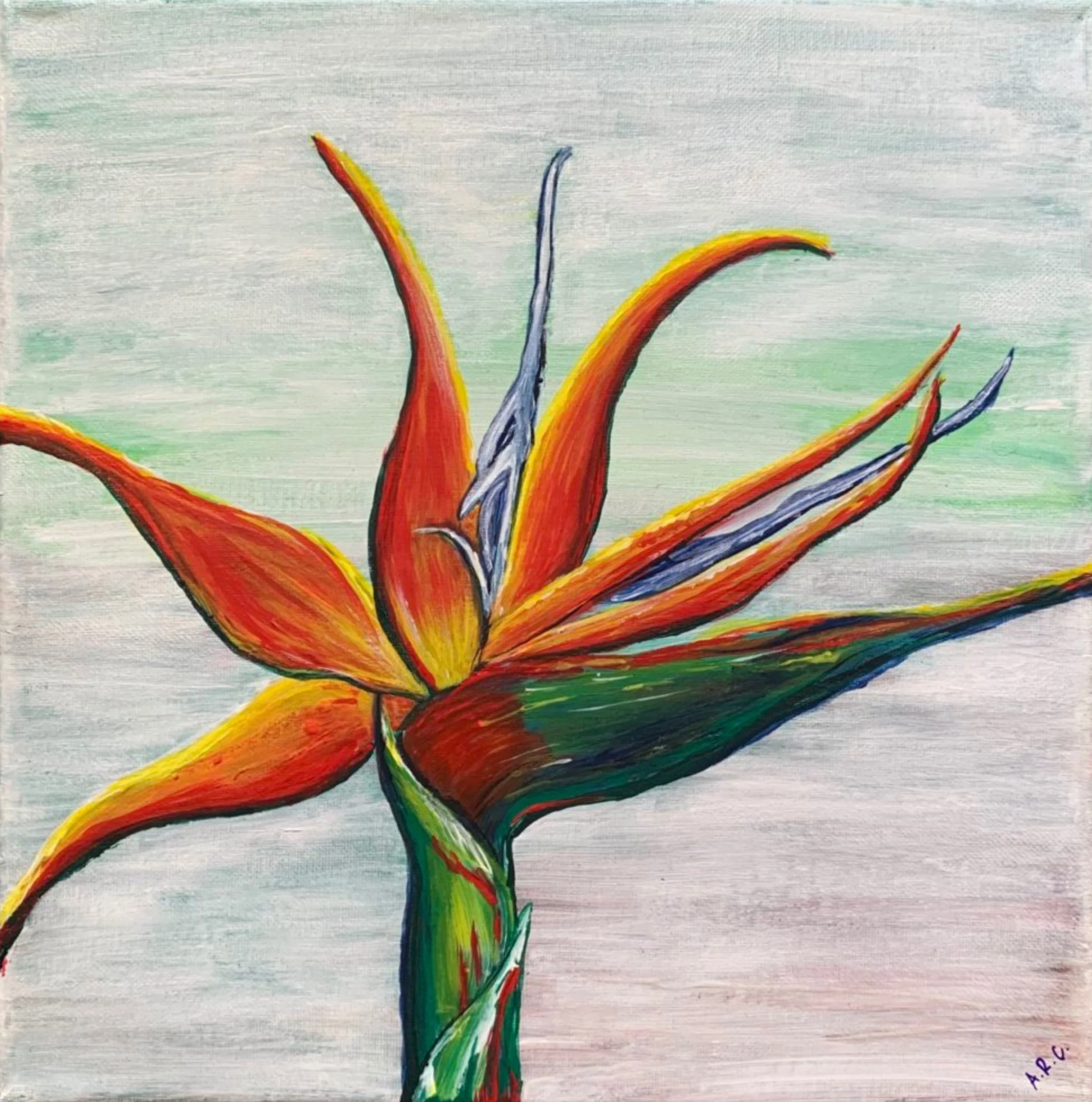 12x12. Acrylic.