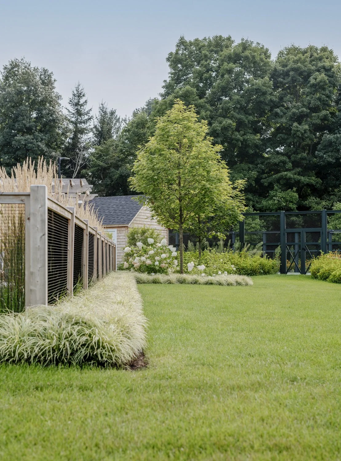 best landscape designer near boston, best landscape architect near boston, best pool company near boston, best pool installation, best landscape design in new england, custom trellis, blackeyed susans, custom landscape design, tennis court