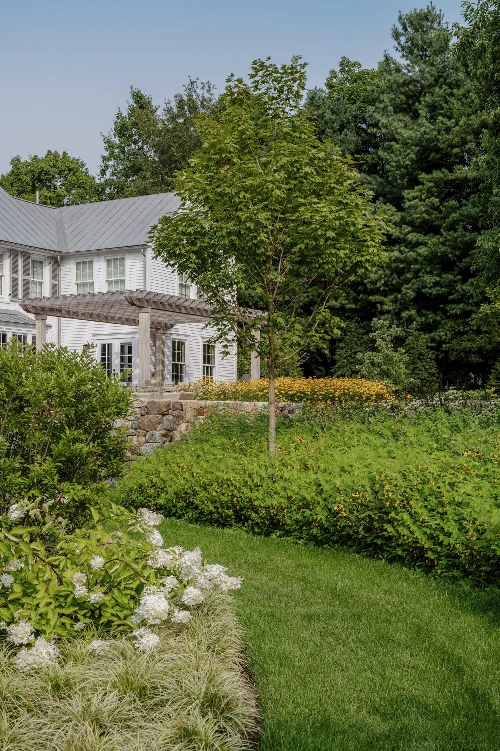 best landscape designer near boston, best landscape architect near boston, best pool company near boston, best pool installation, best landscape design in new england, custom trellis, blackeyed susans, custom landscape design, dry stack stone walls