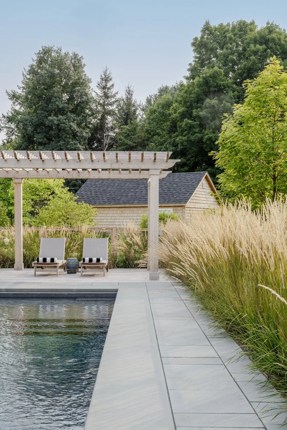 best landscape designer near boston, best landscape architect near boston, best pool company near boston, best pool installation, best landscape design in new england, custom trellis, blackeyed susans, custom arbor design, custom pool