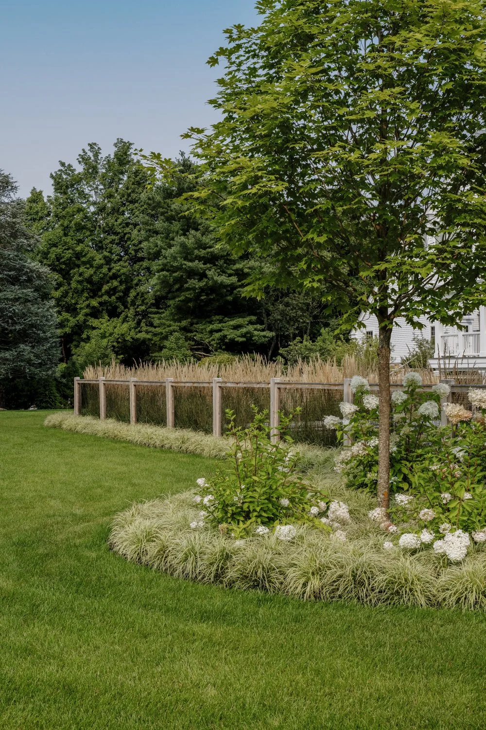 best landscape designer near boston, best landscape architect near boston, best pool company near boston, best pool installation, best landscape design in new england, custom trellis, blackeyed susans, custom landscape design, hydrangeas, cedar fence