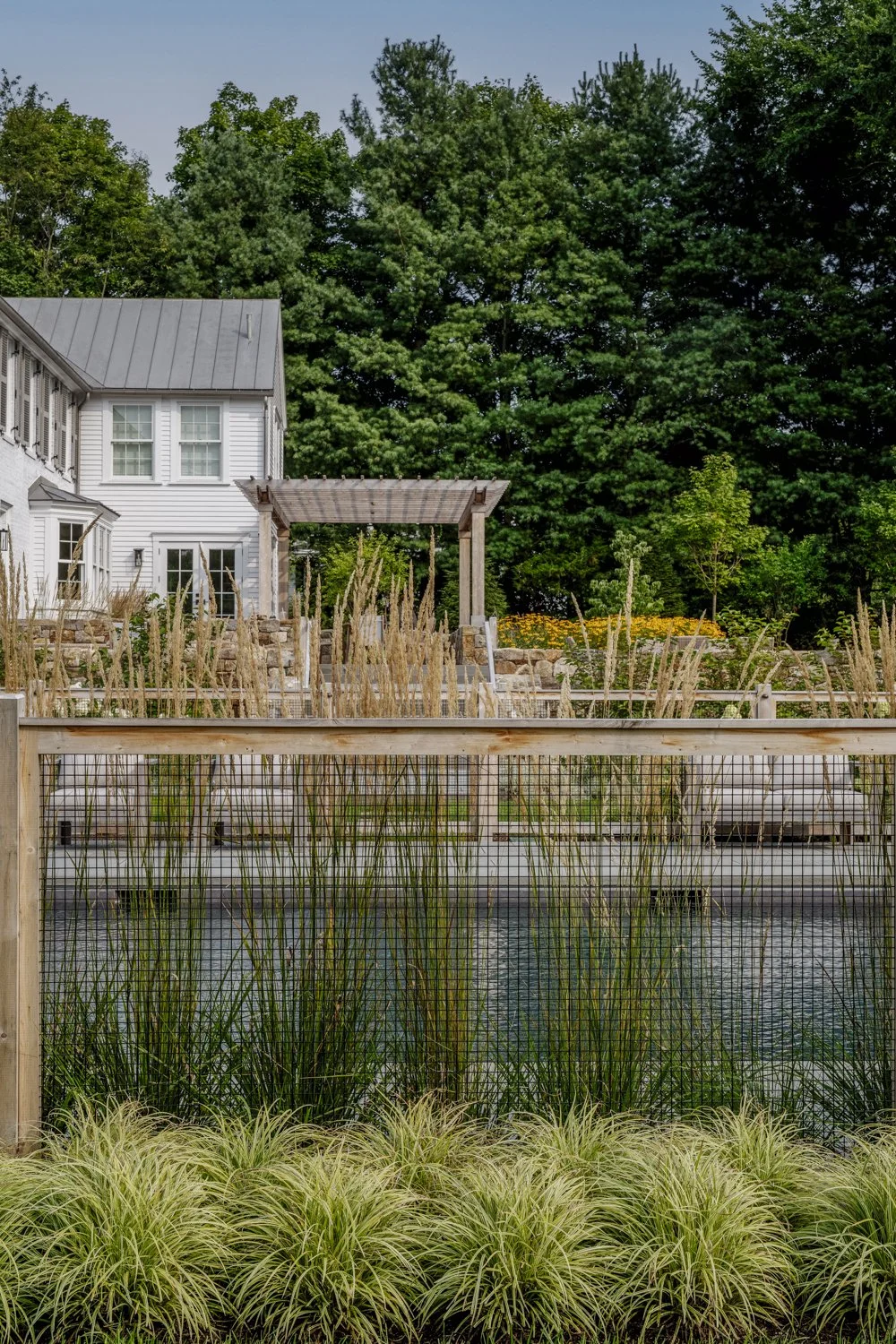 best landscape designer near boston, best landscape architect near boston, best pool company near boston, best pool installation, best landscape design in new england, custom trellis, blackeyed susans, custom landscape design, dry stack stone walls