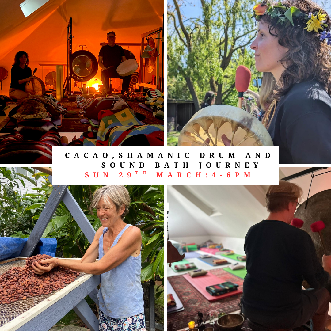 Cacao, Shamanic Drum Journey and Sound Bath