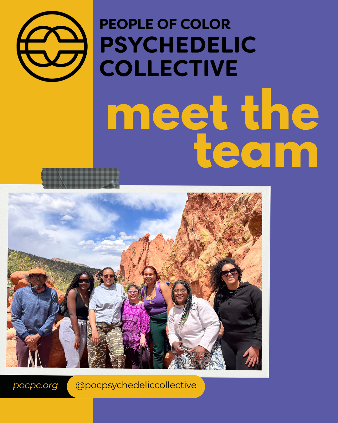 MEET THE TEAM