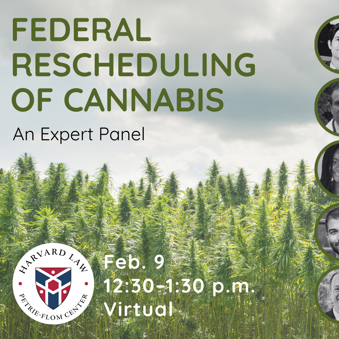 An event flyer with marijuana field as the primary background and text along with speaker headshots. The title is "Federal Scheduling of Cannabis: Expert Panel" Feb 9 12:30-1:30pm