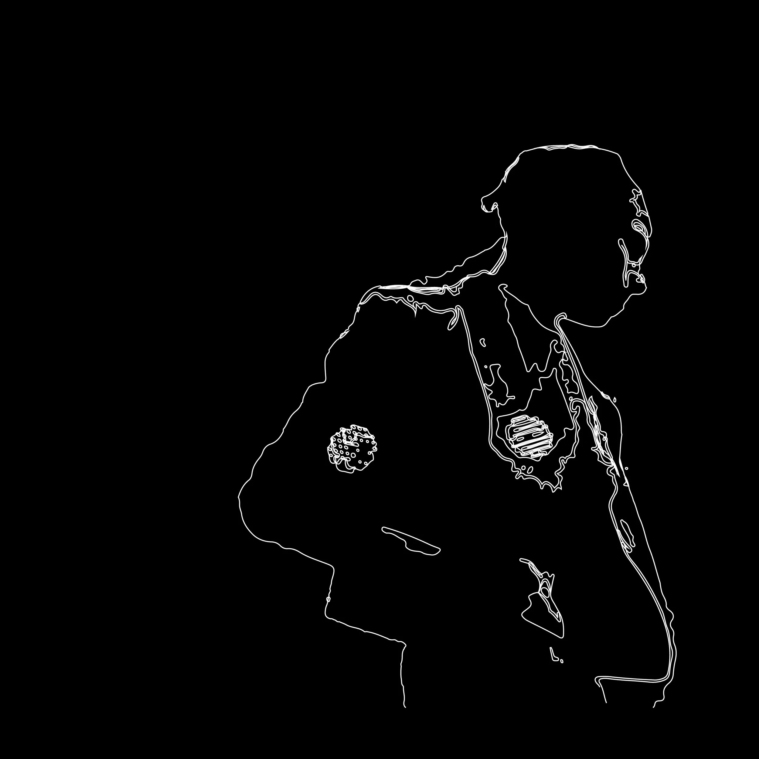 Tomas Etcheverry - Complejos