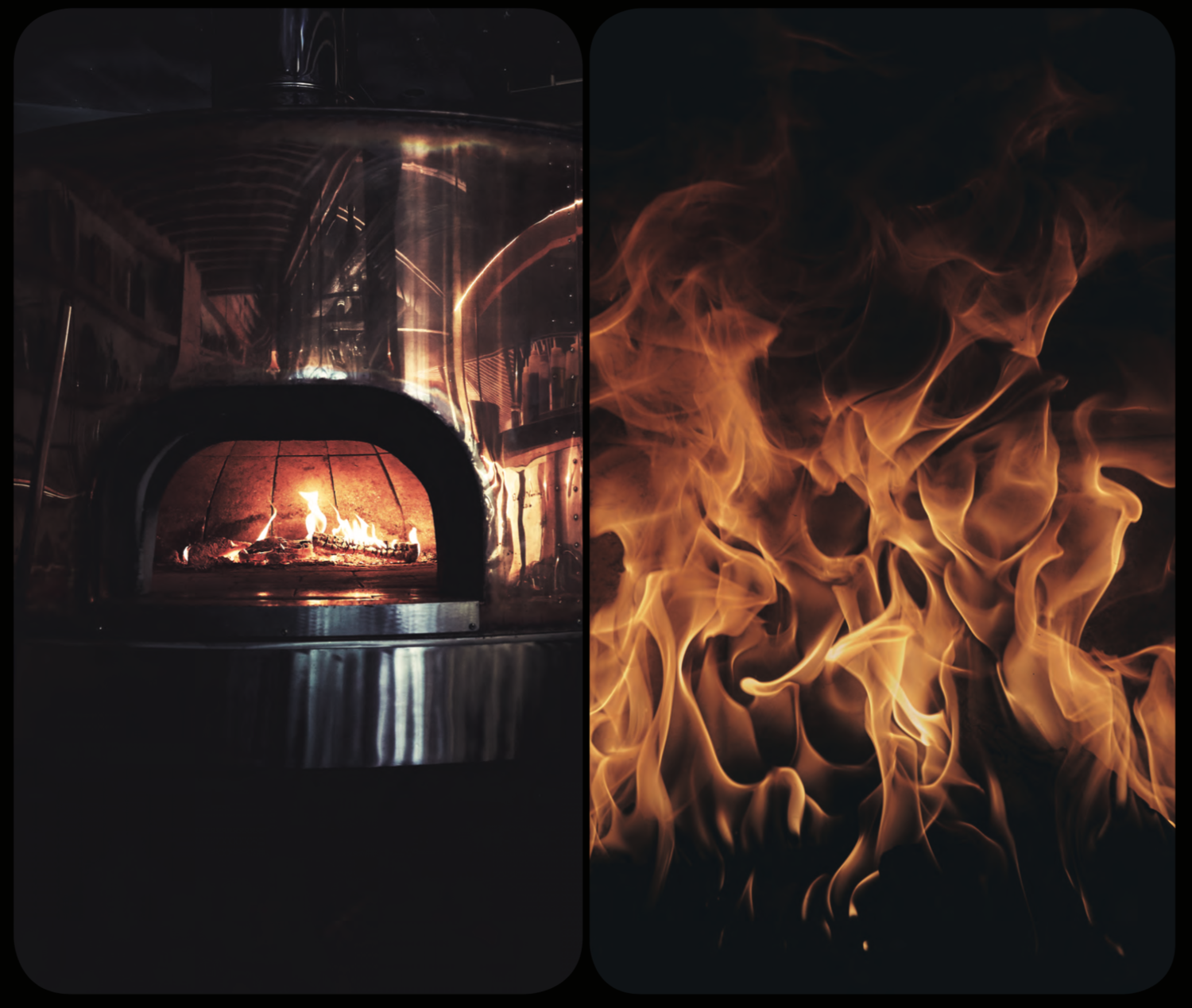 Meal Magazine: The Future is Now