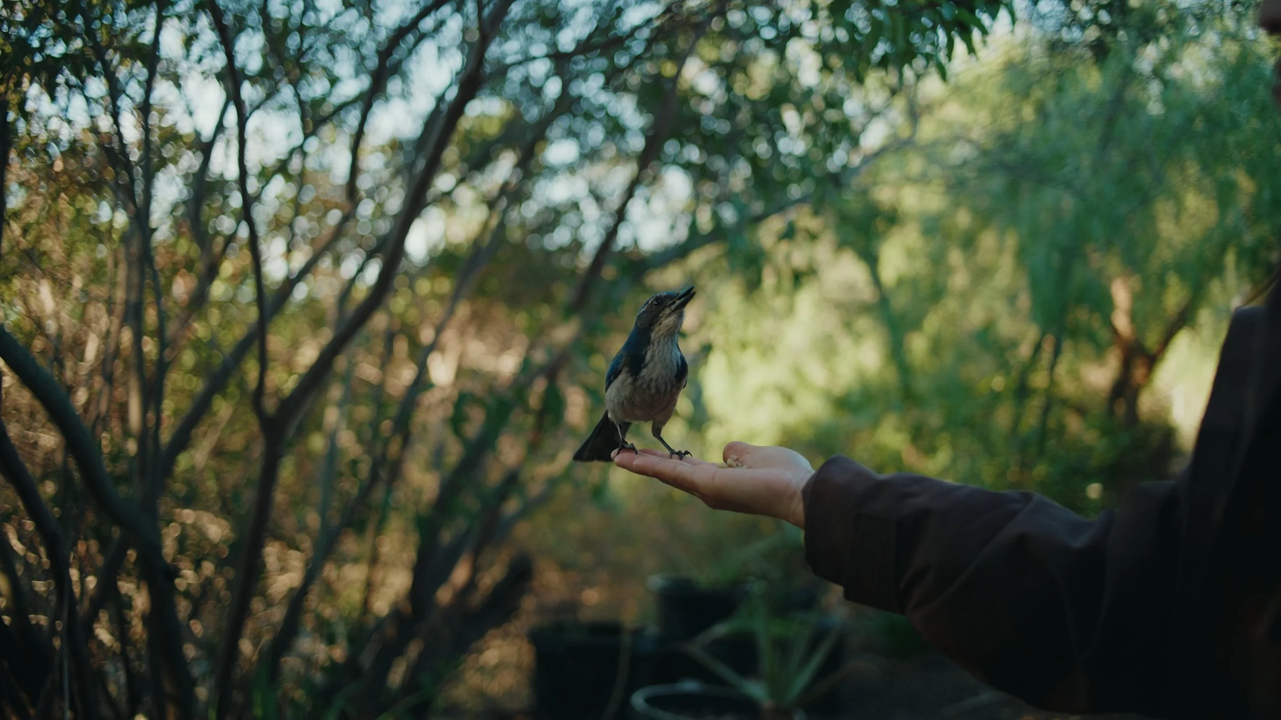 Still 2025-12-22 175847_1.39.1.jpg