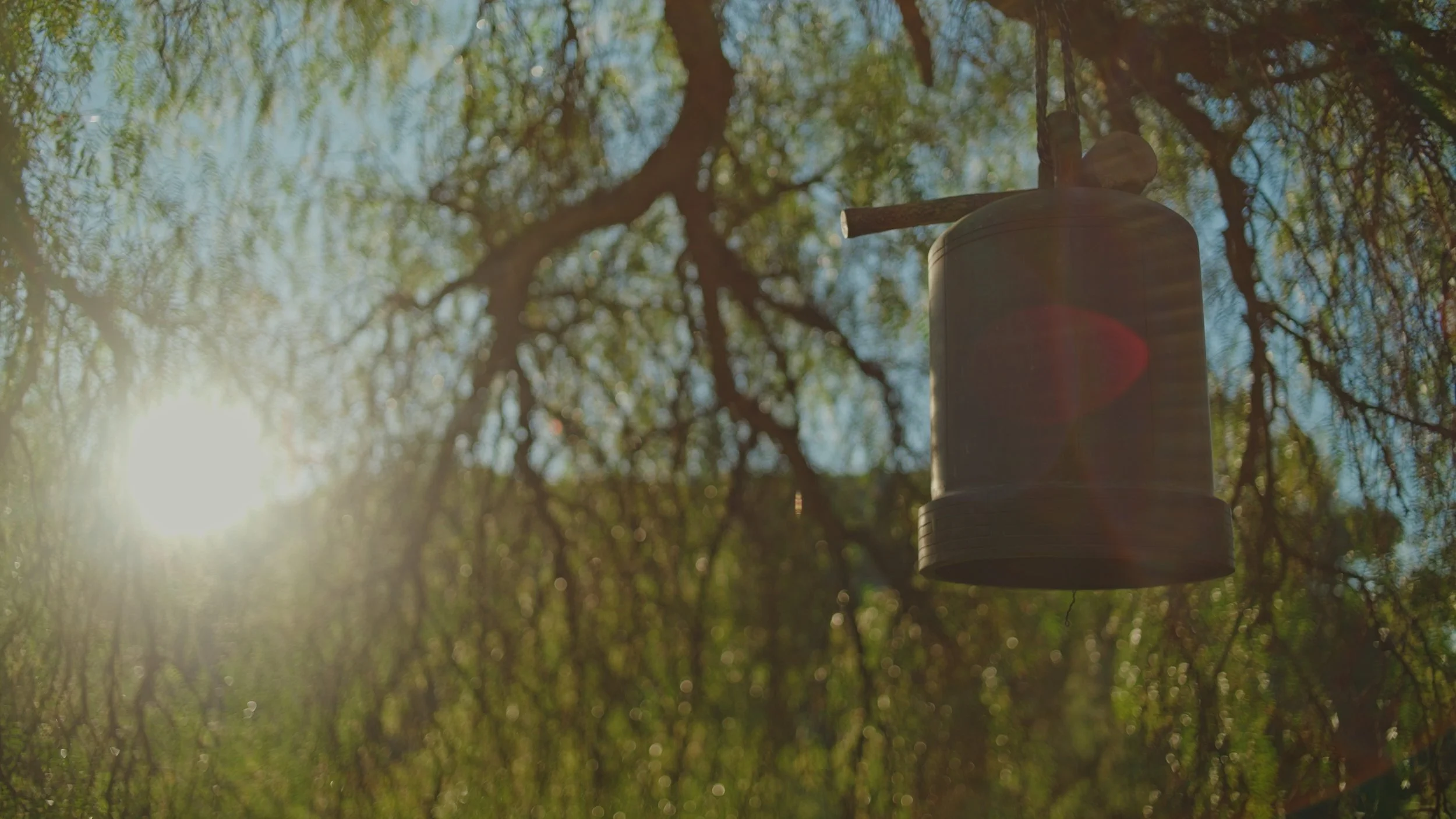 Still 2025-12-22 175847_1.42.1.jpg