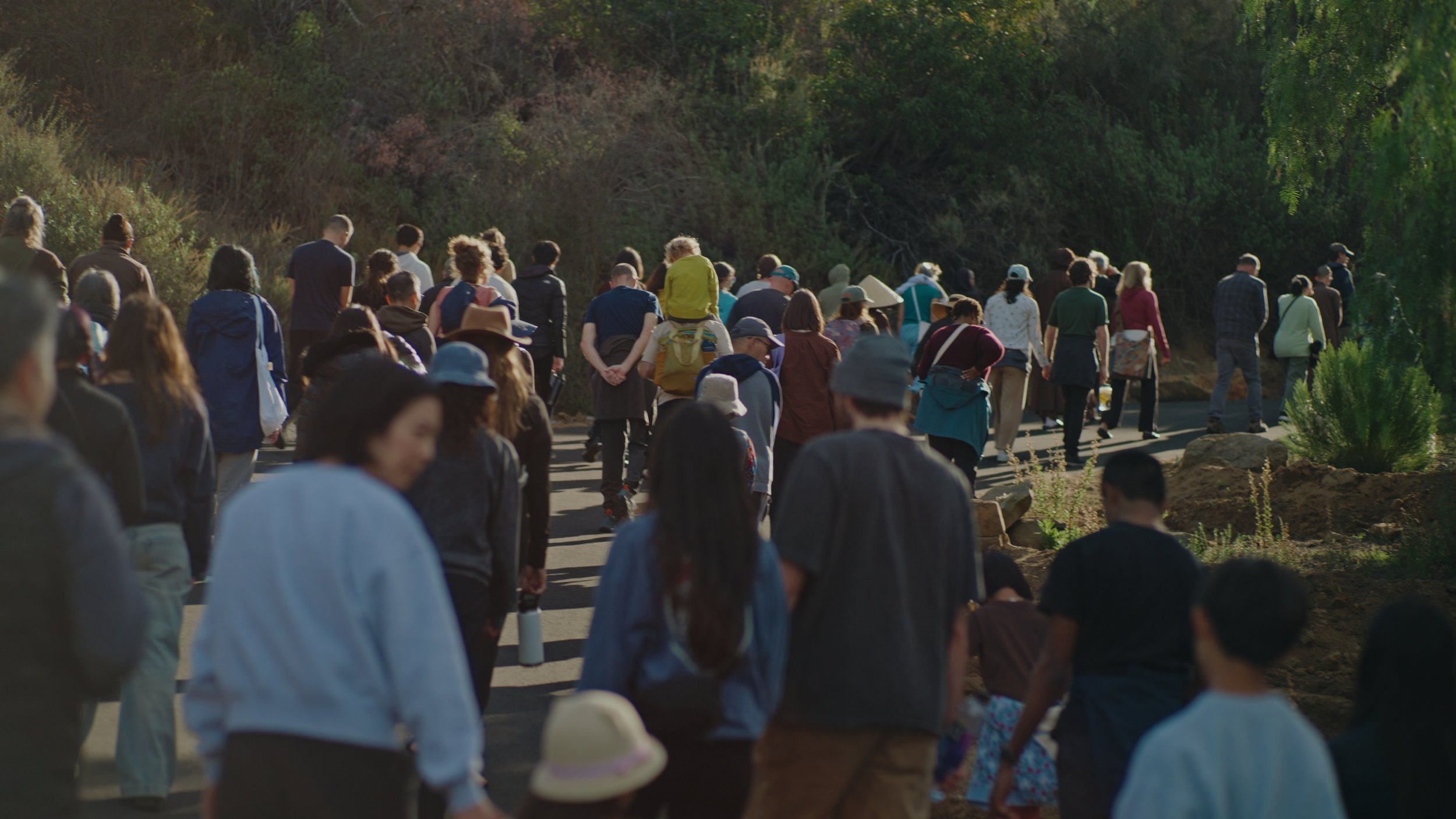 Still 2025-12-22 175847_1.67.1.jpg